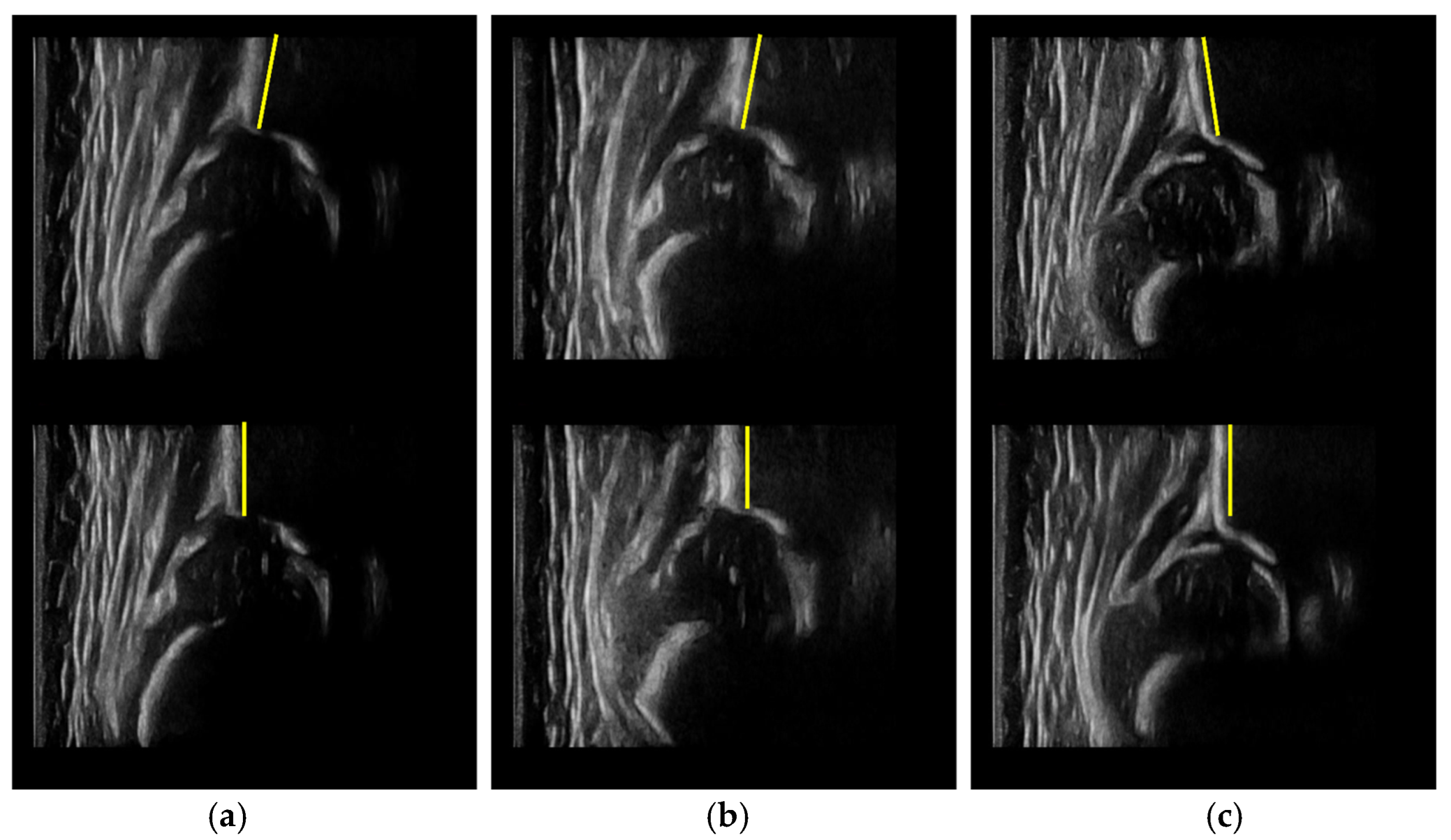Diagnostics 12 01423 g010