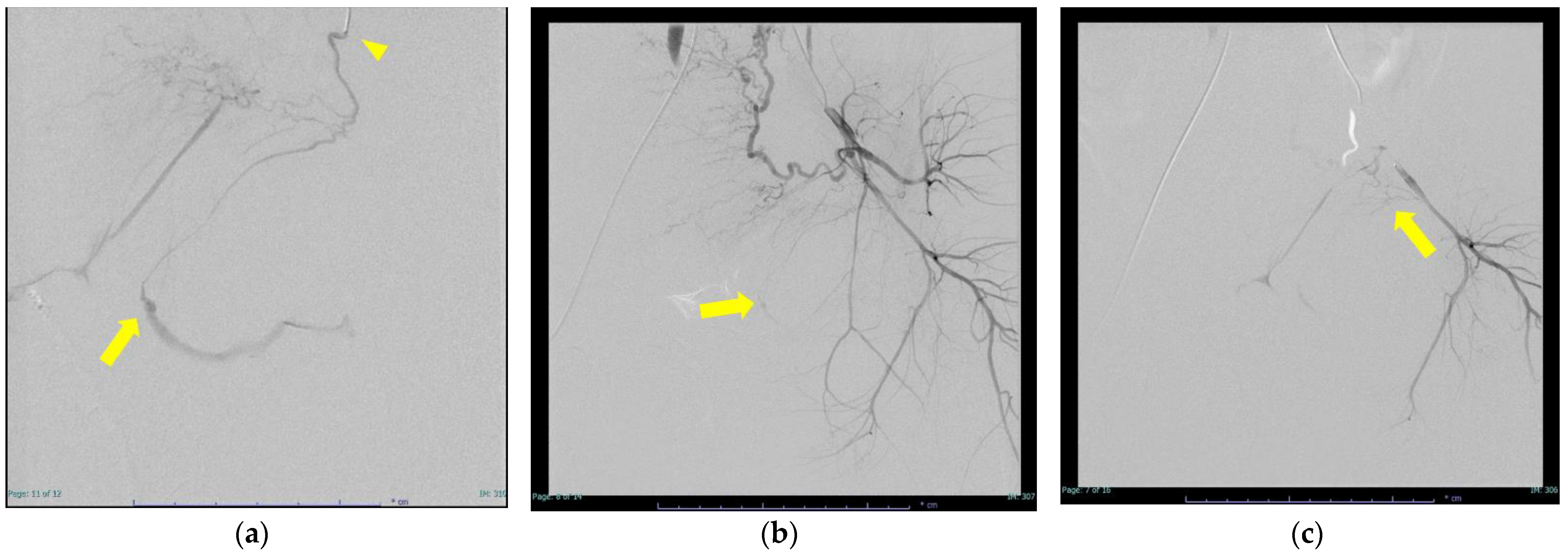Diagnostics 12 01429 g003a