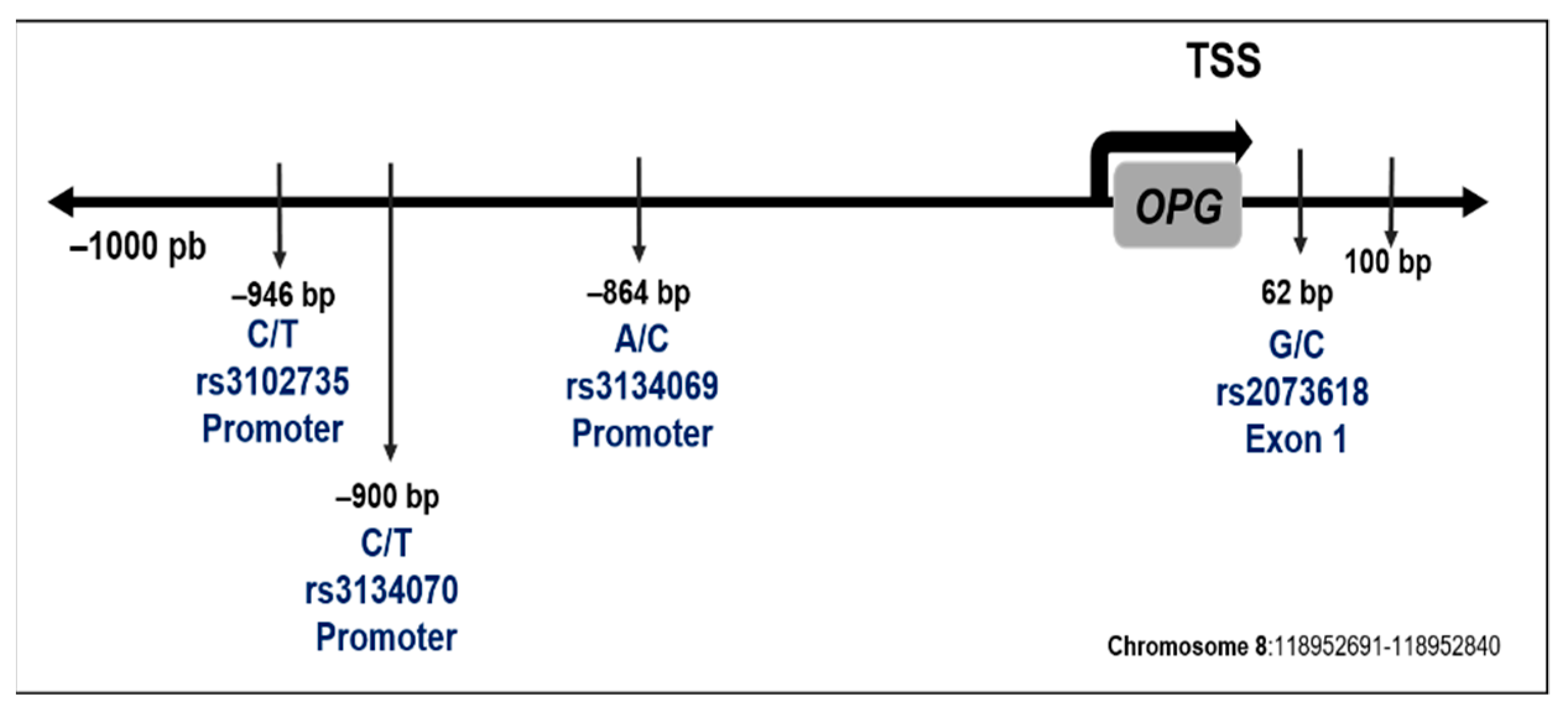 Diagnostics 12 01433 g001 Diagnostics 12 01433 g001