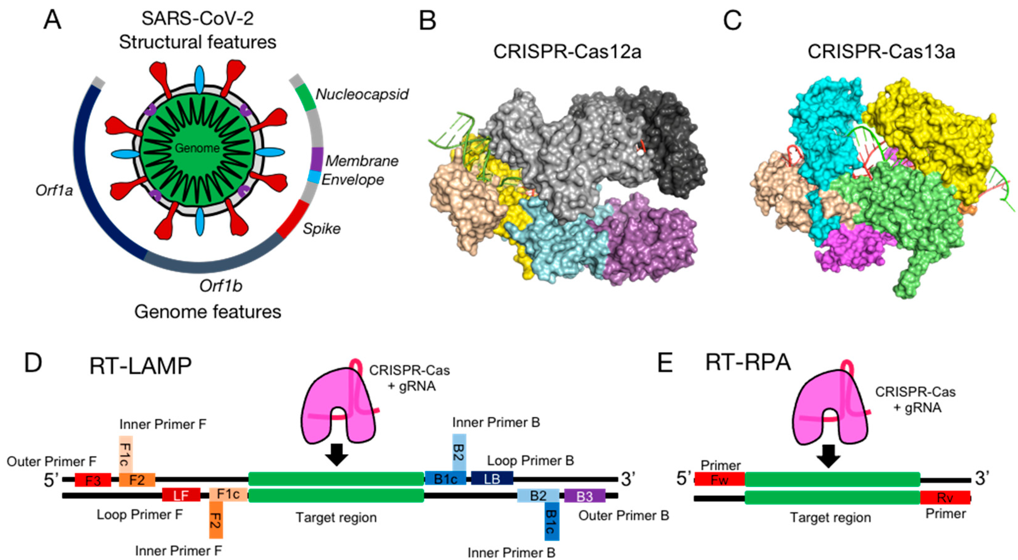 Diagnostics 12 01434 g001 550