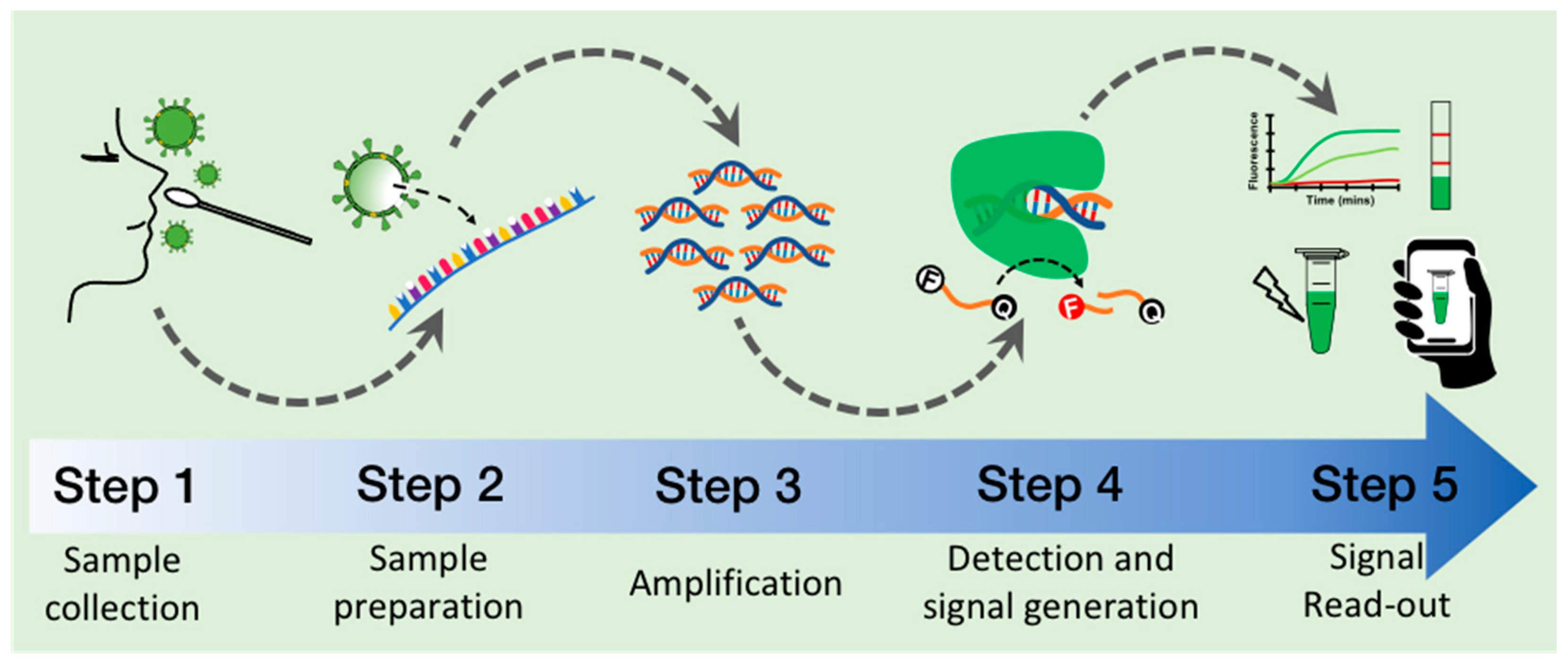 Diagnostics 12 01434 g002 550