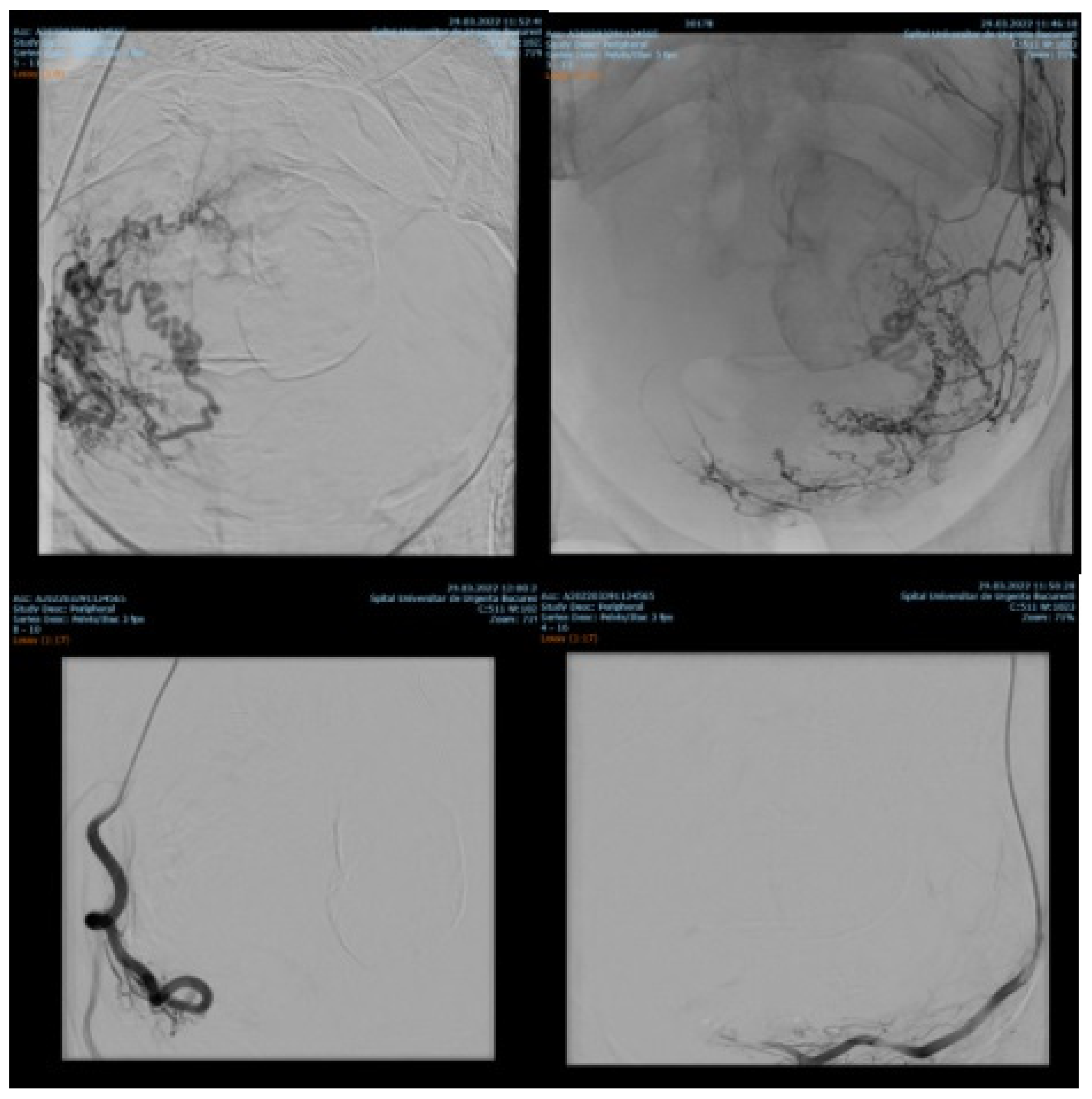 Diagnostics 12 01436 g002