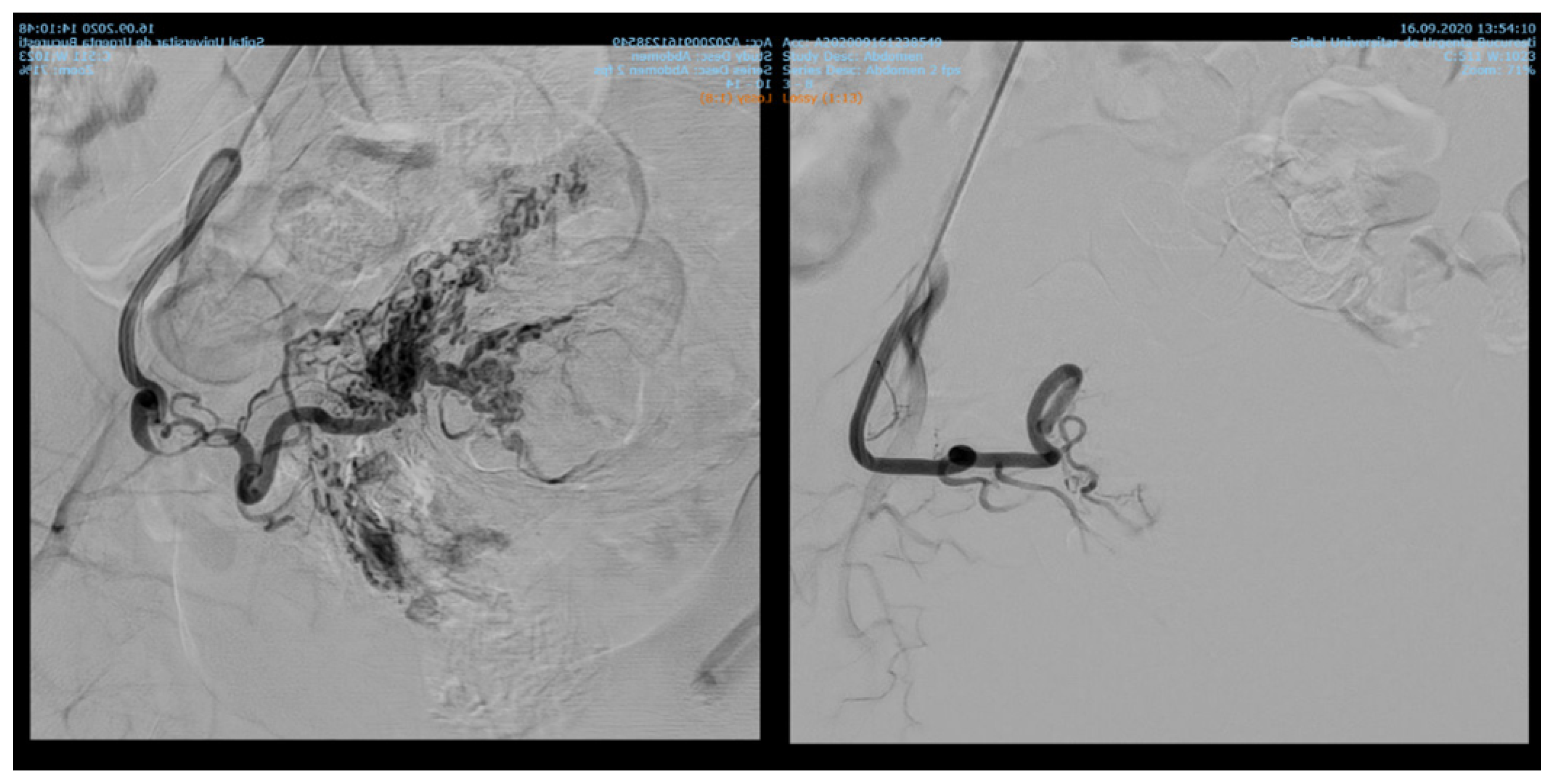 Diagnostics 12 01436 g004