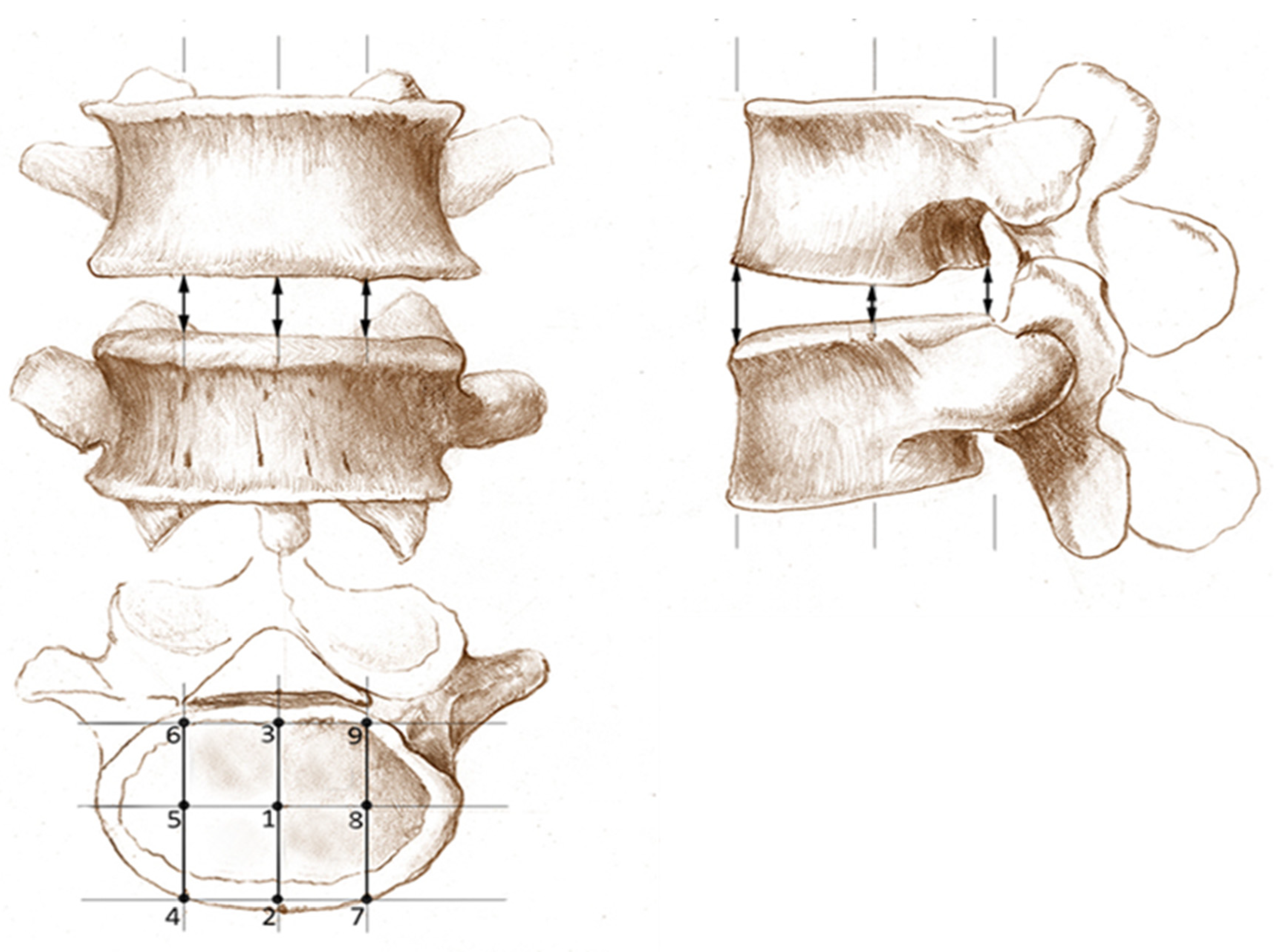 Diagnostics 12 01437 g002