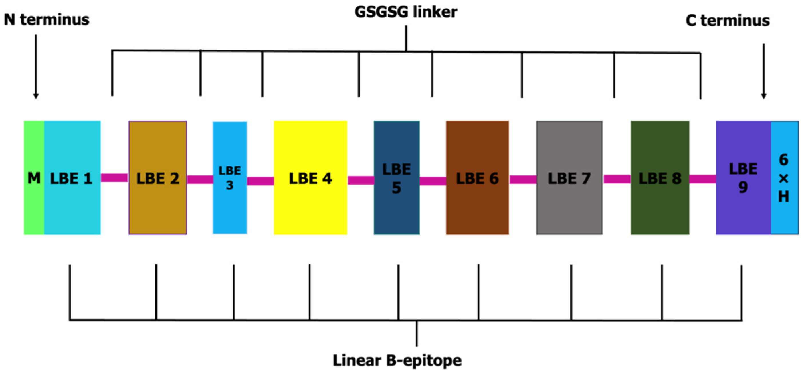Diagnostics 12 01440 g001 Diagnostics 12 01440 g001