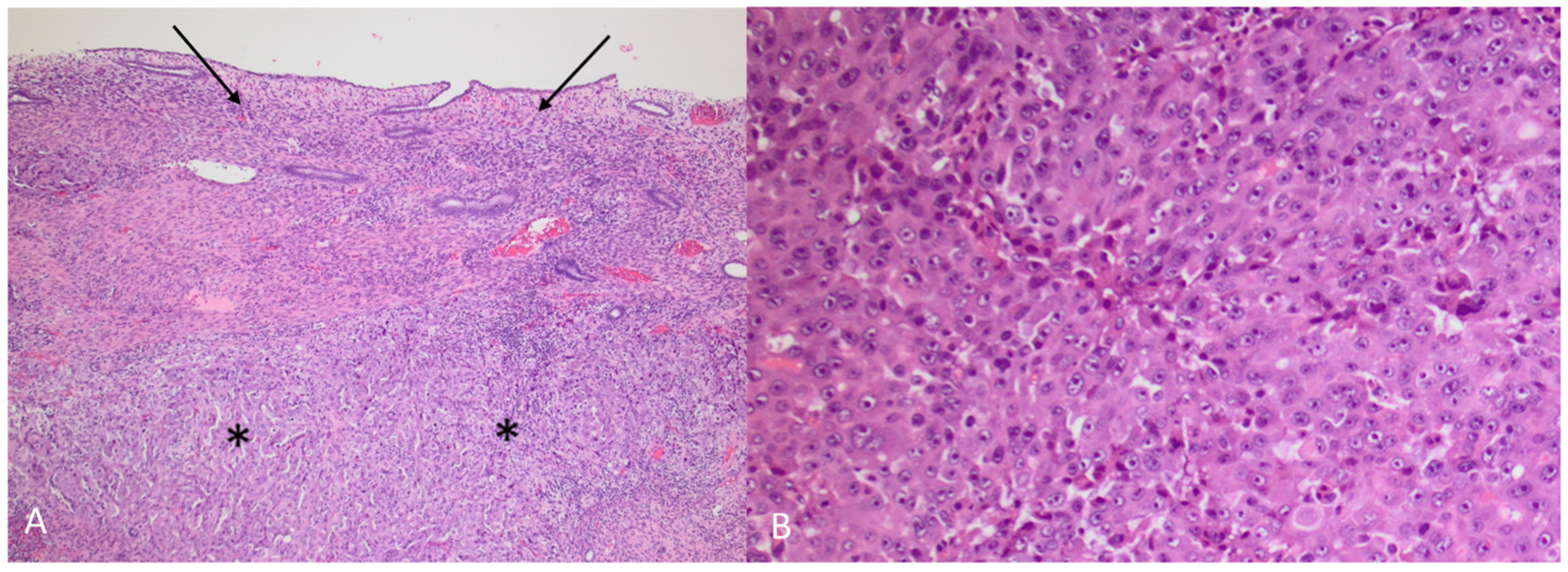 Diagnostics 12 01447 g009 550