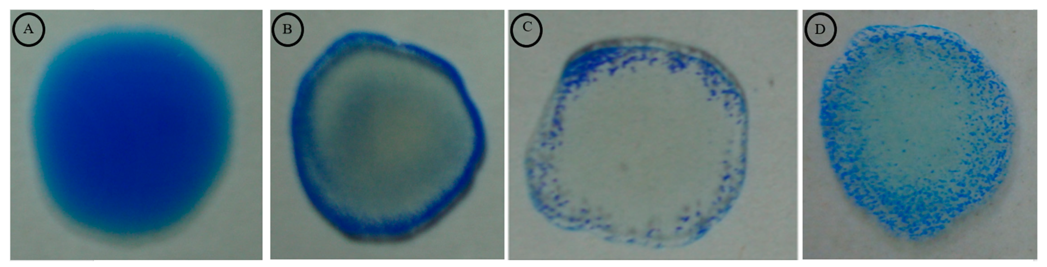 Diagnostics 12 01455 g003 Diagnostics 12 01455 g003