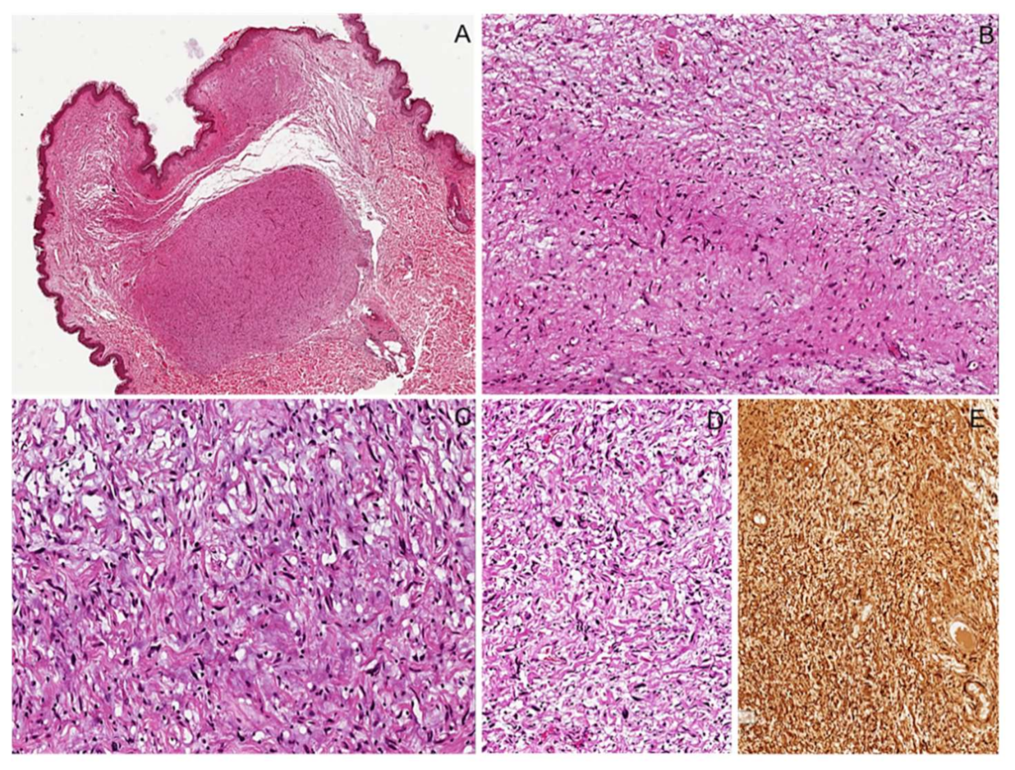 Diagnostics 12 01463 g003 550