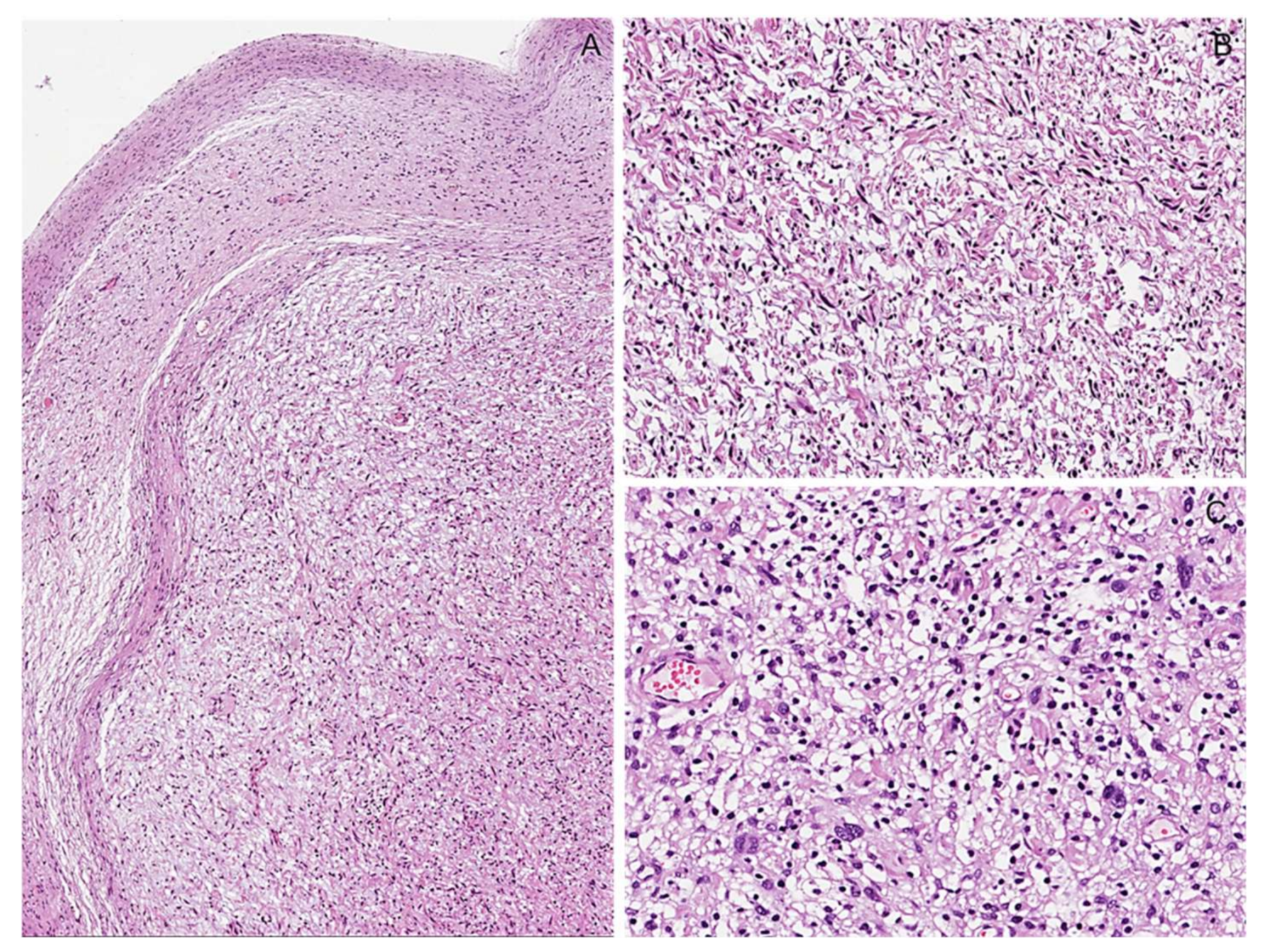 Diagnostics 12 01463 g004 550