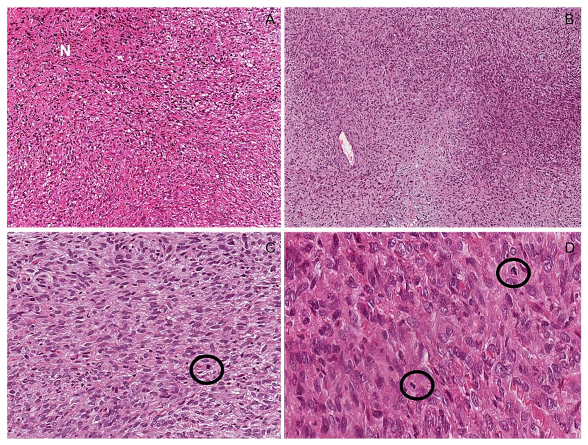 Diagnostics 12 01463 g009 550