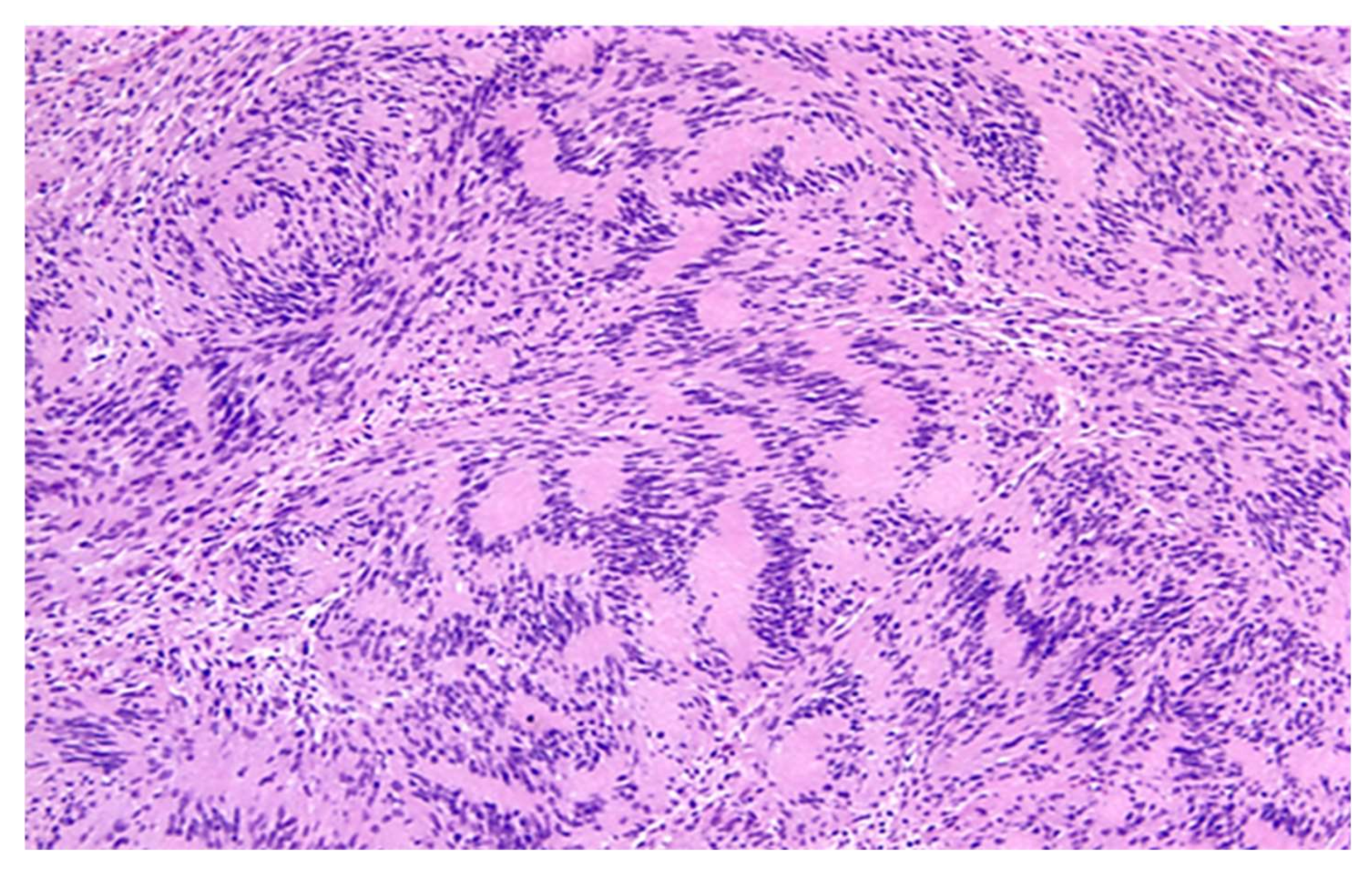 Diagnostics 12 01463 g013 550