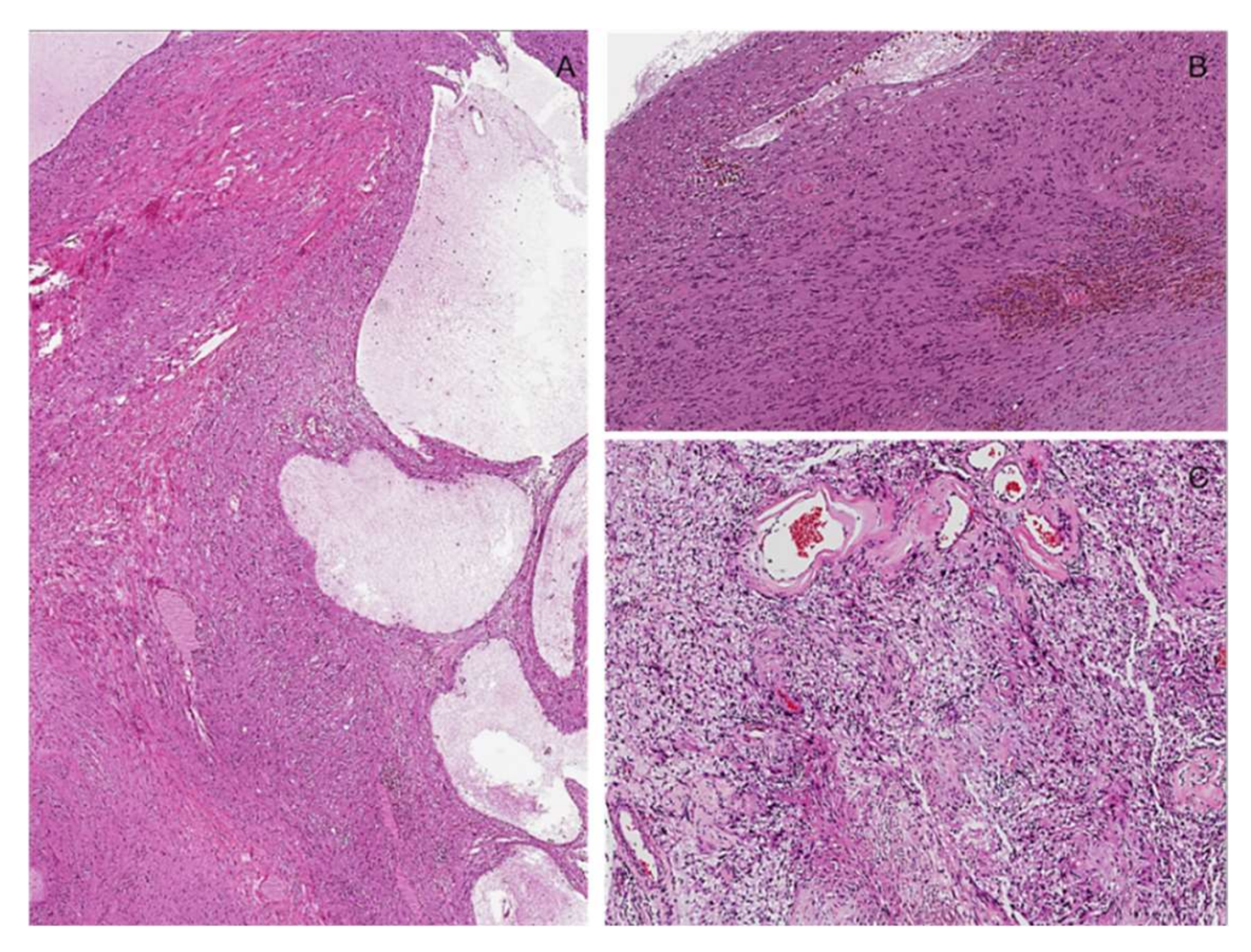 Diagnostics 12 01463 g014 550