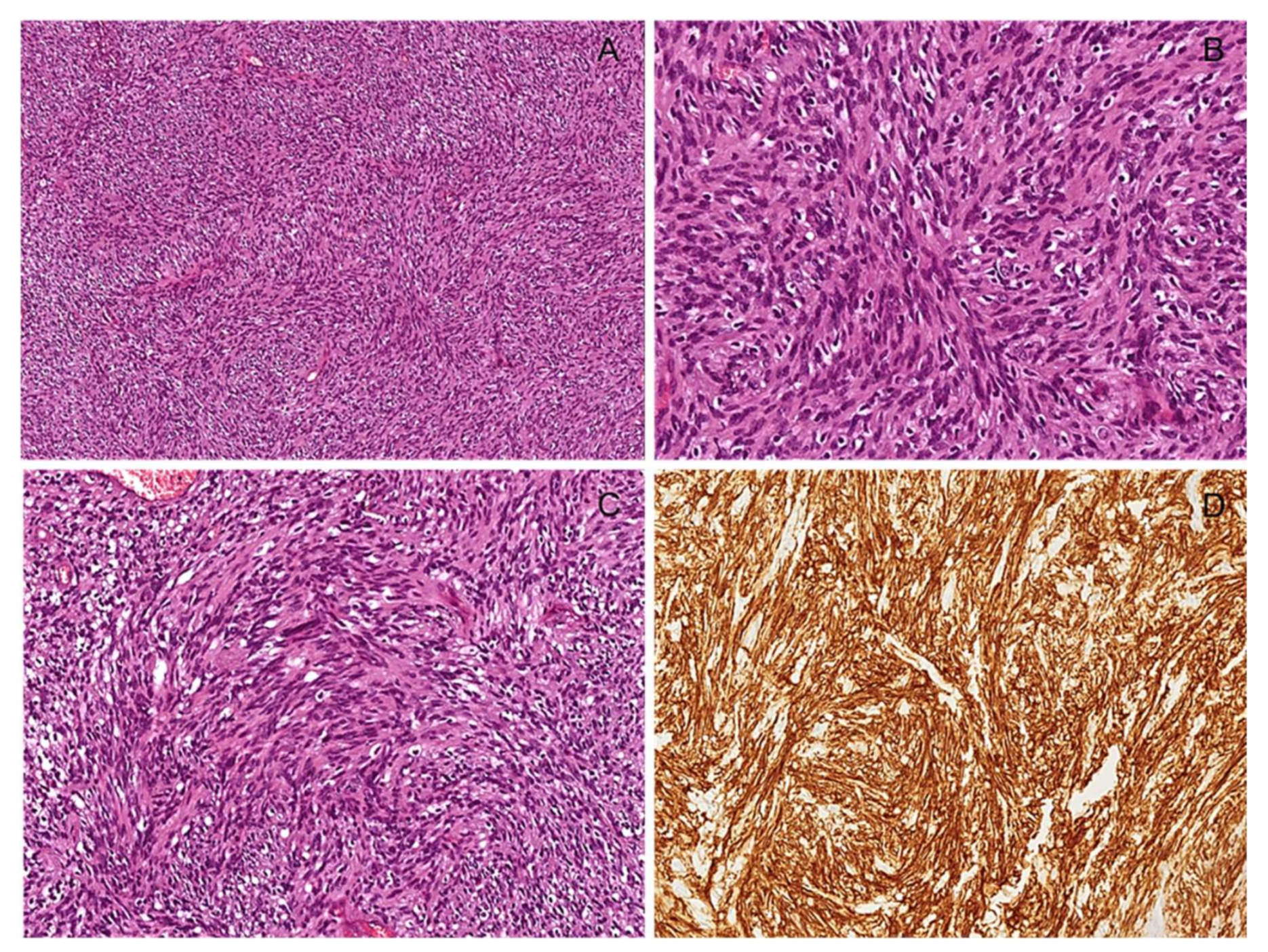 Diagnostics 12 01463 g015 550