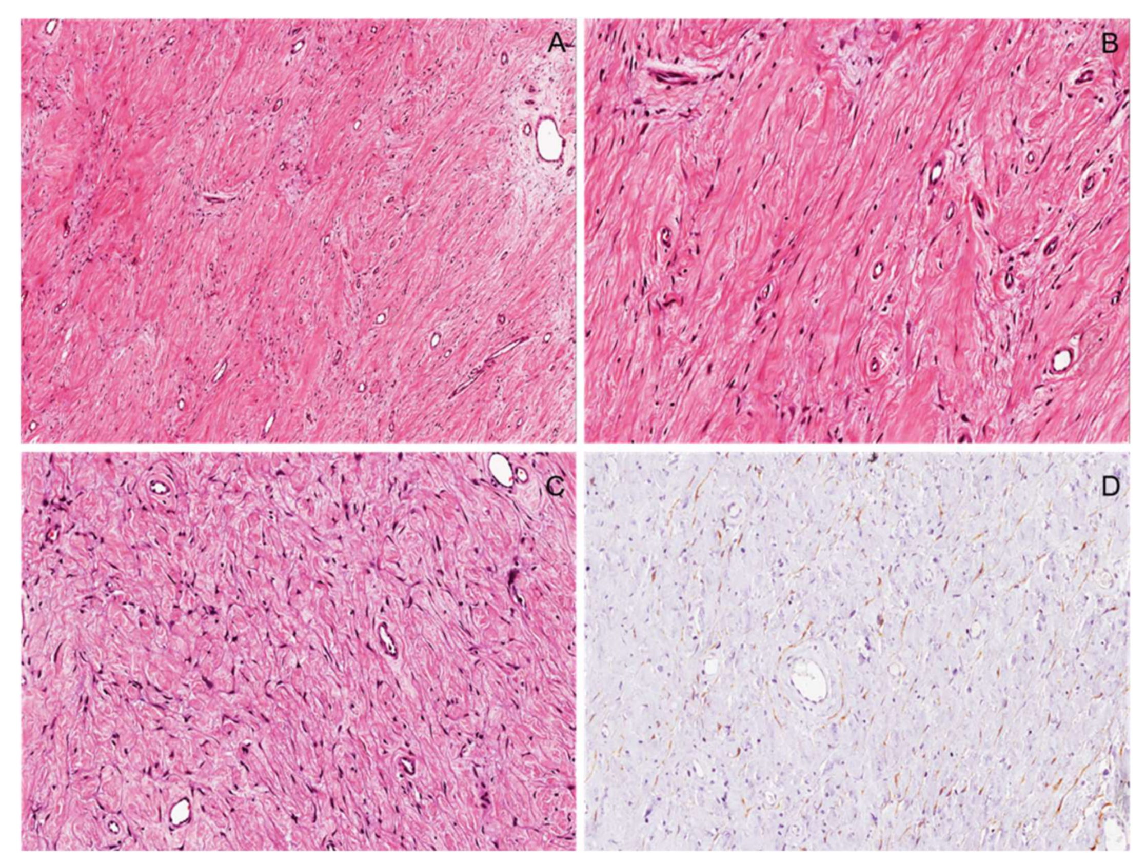 Diagnostics 12 01463 g019 550