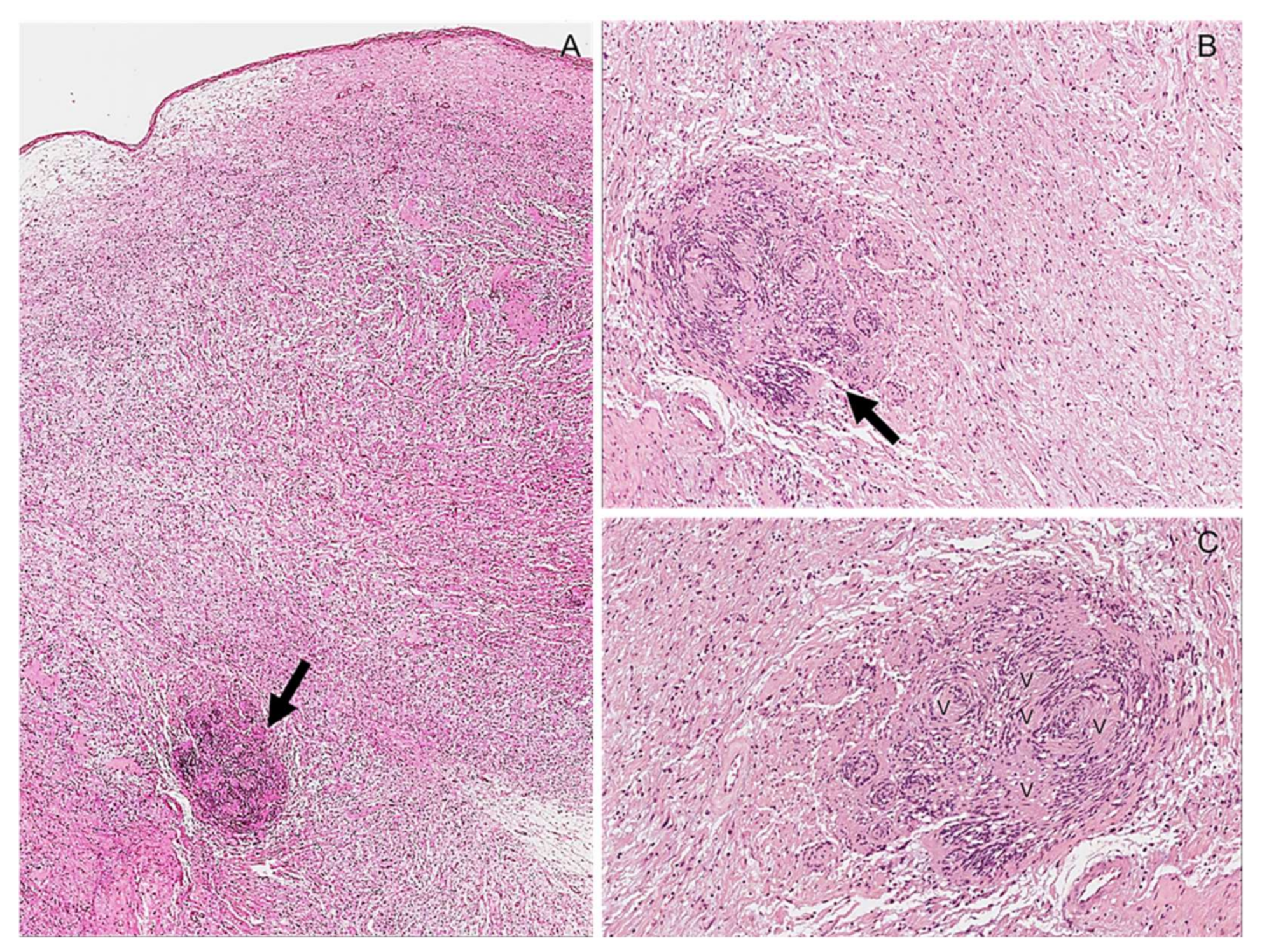 Diagnostics 12 01463 g020 550