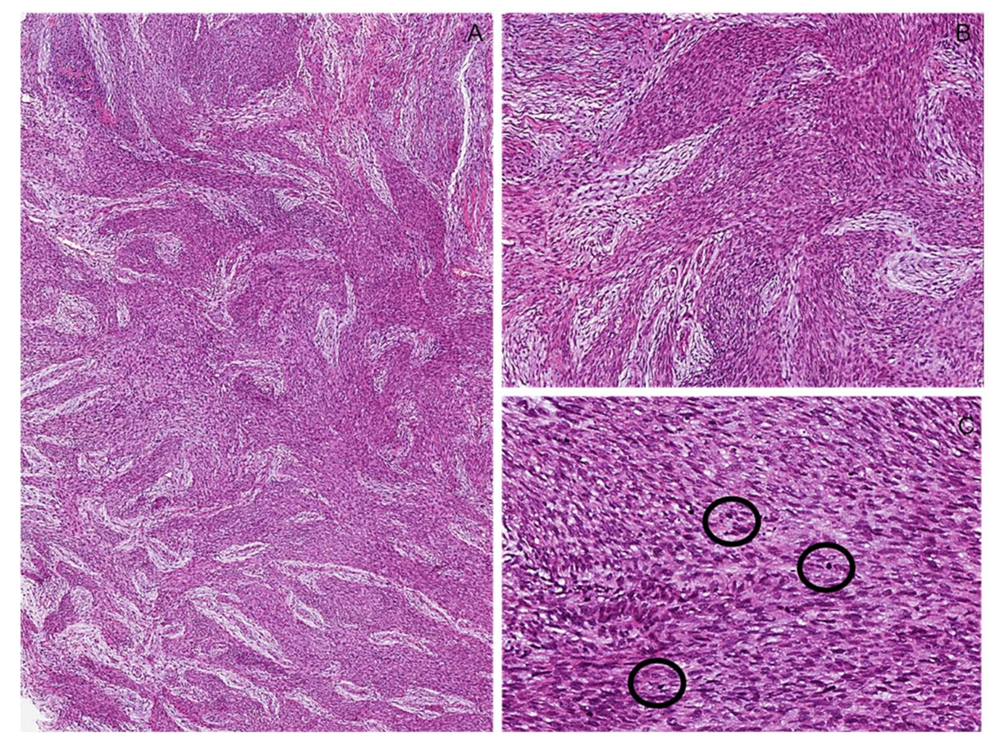 Diagnostics 12 01463 g022 550