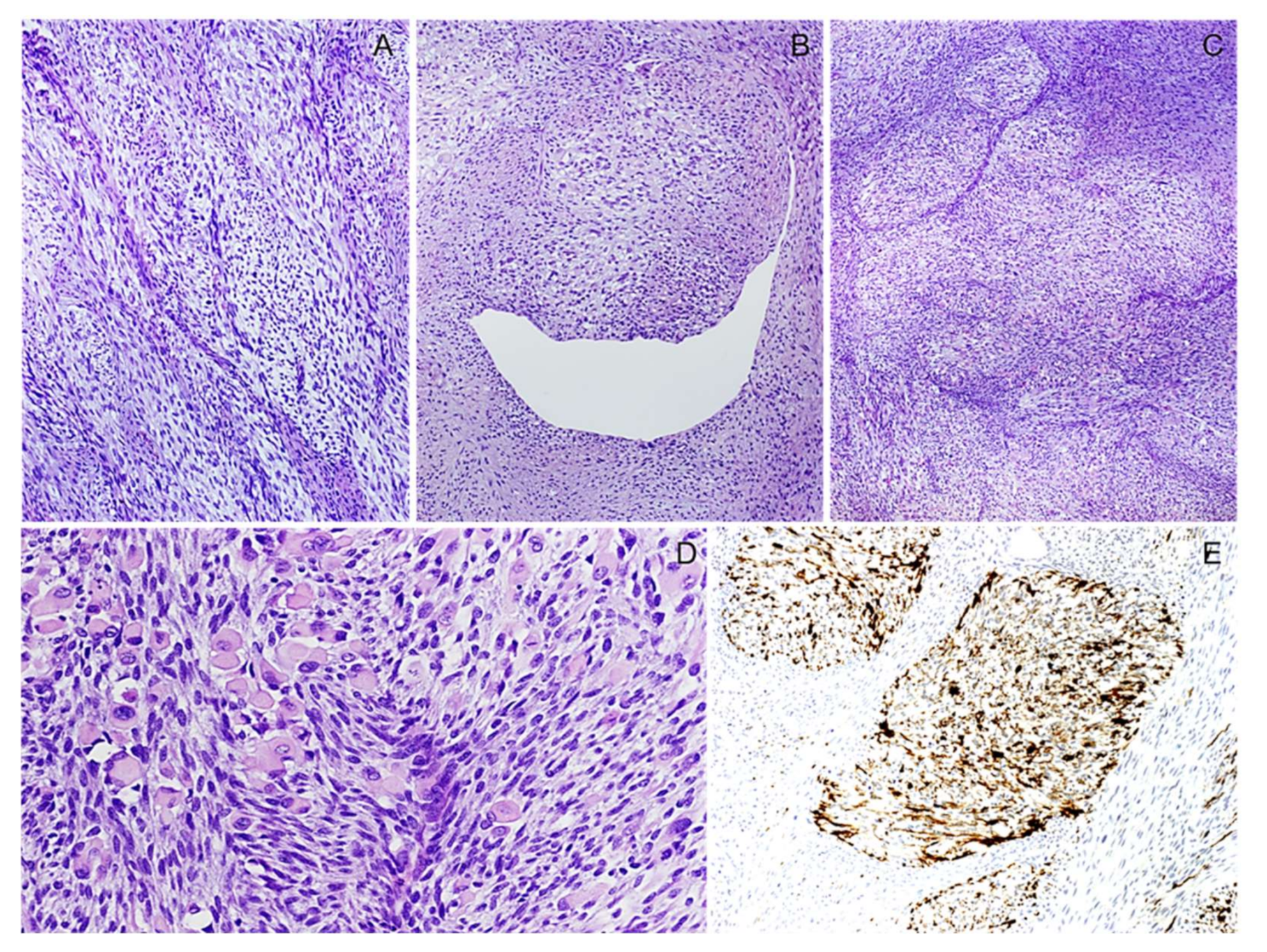 Diagnostics 12 01463 g023 550