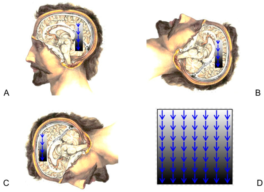 Diagnostics 12 01473 g001 550