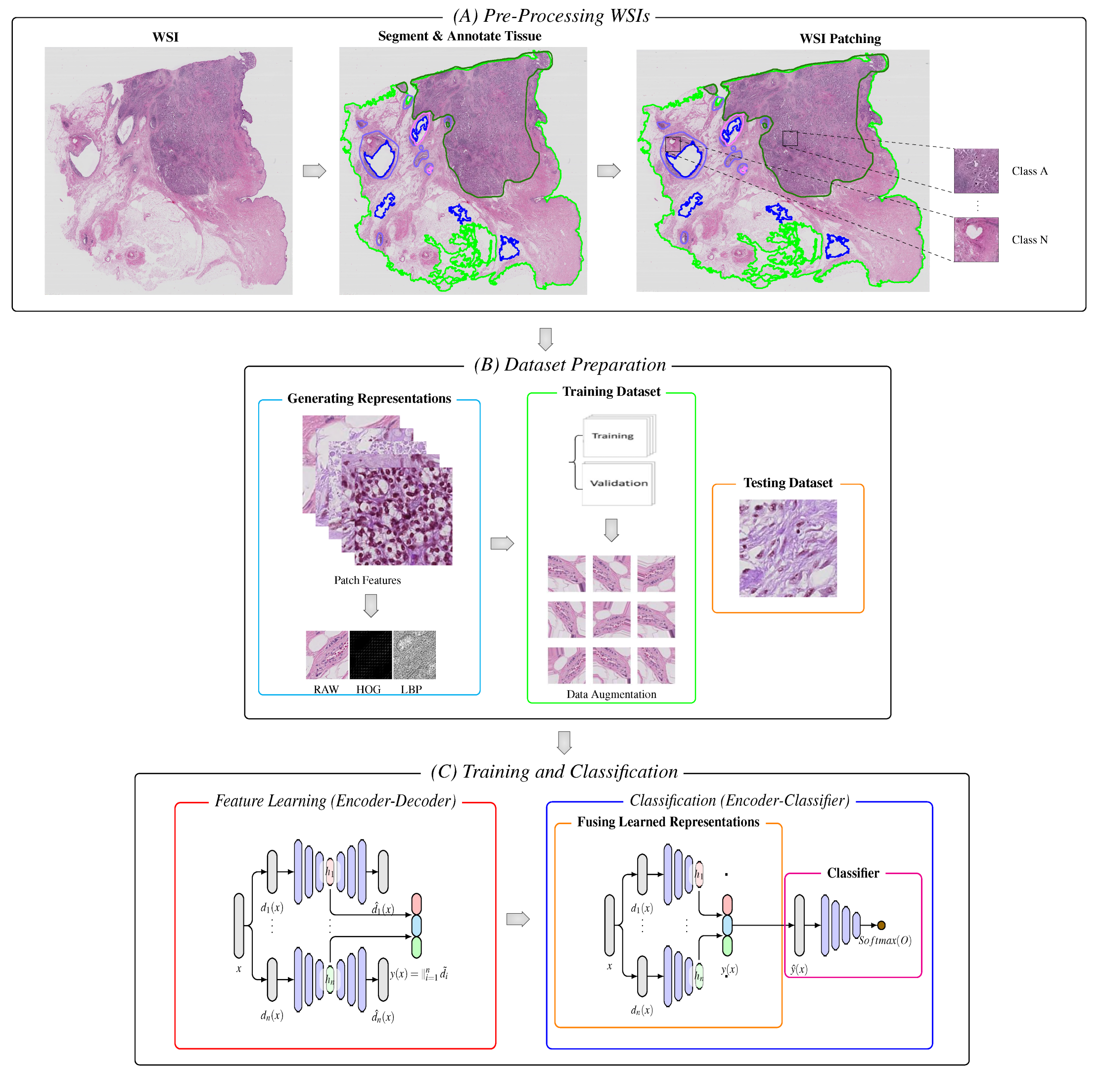 Diagnostics 12 01480 g001 Diagnostics 12 01480 g001