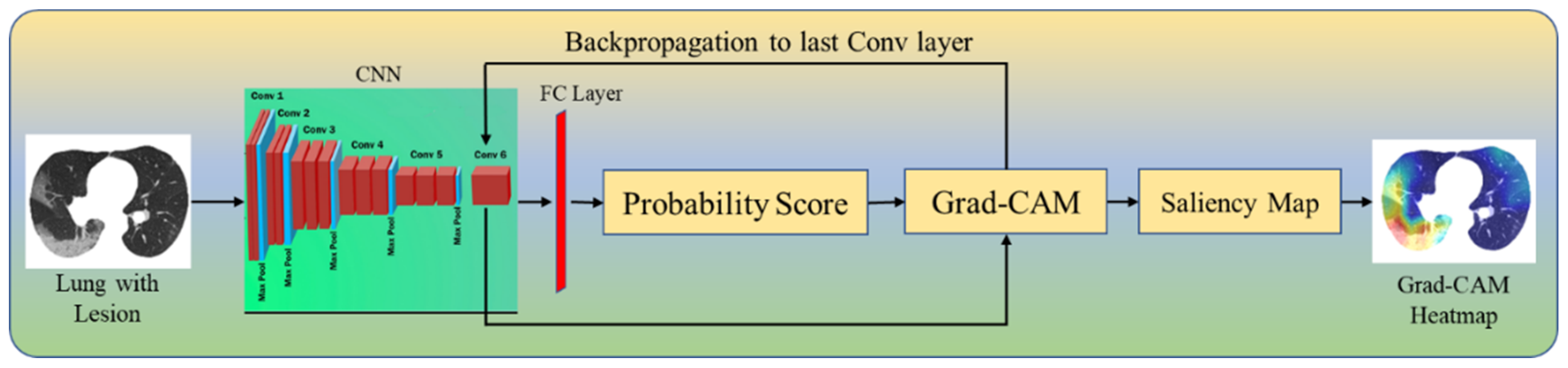 Diagnostics 12 01482 g005 550