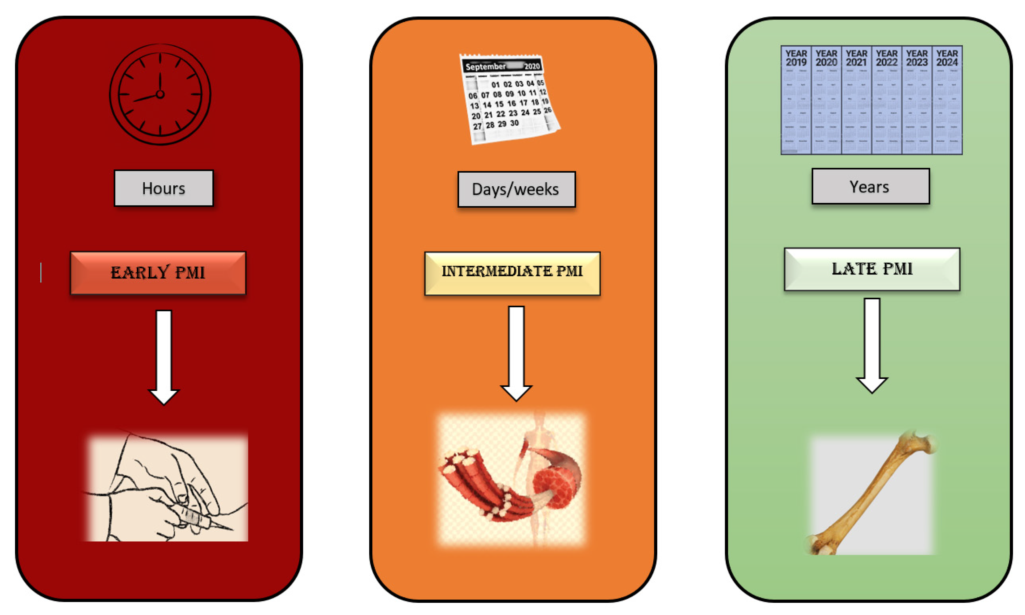 Diagnostics 12 01490 g006 Diagnostics 12 01490 g006