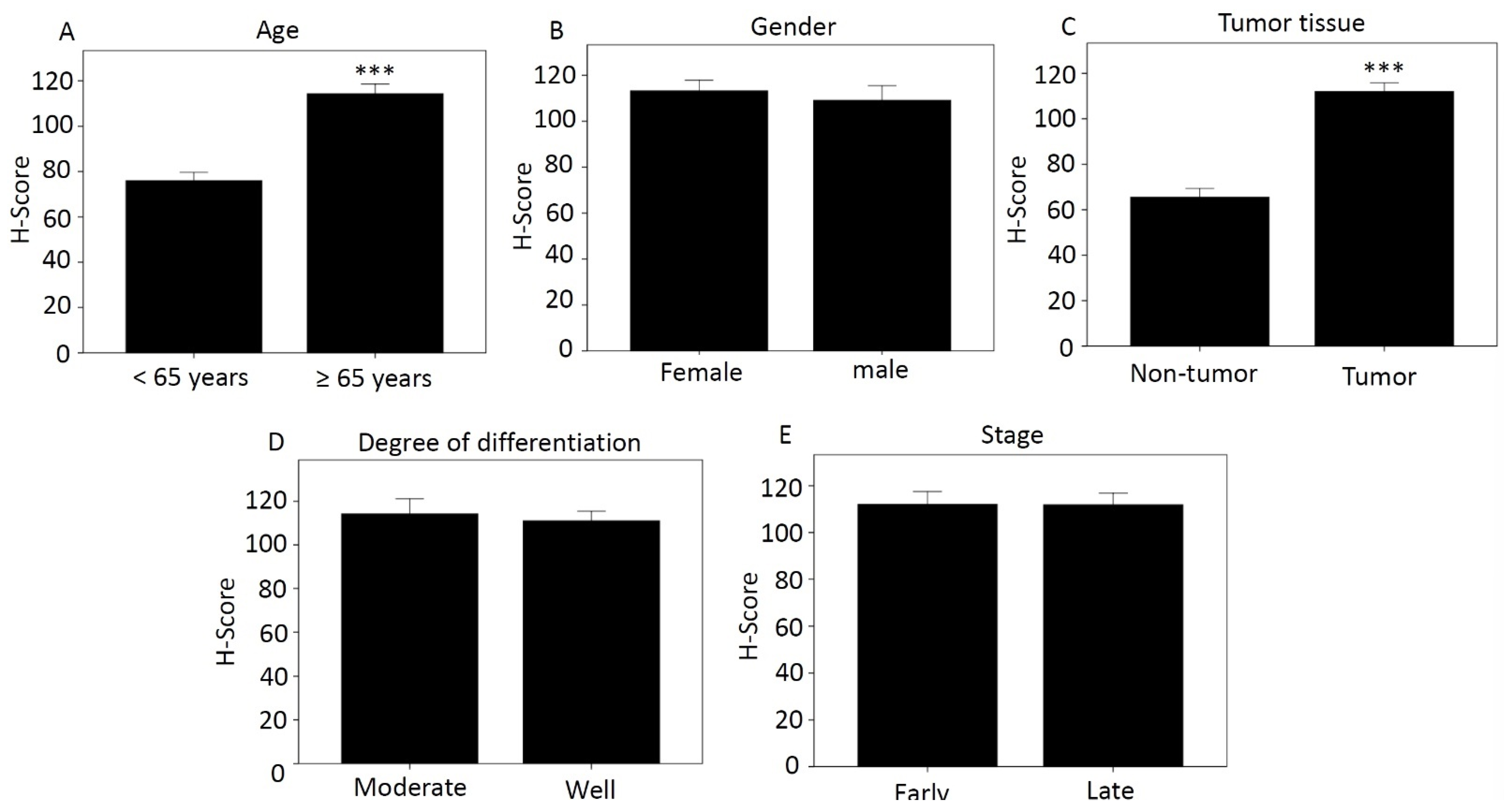 Diagnostics 12 01502 g001
