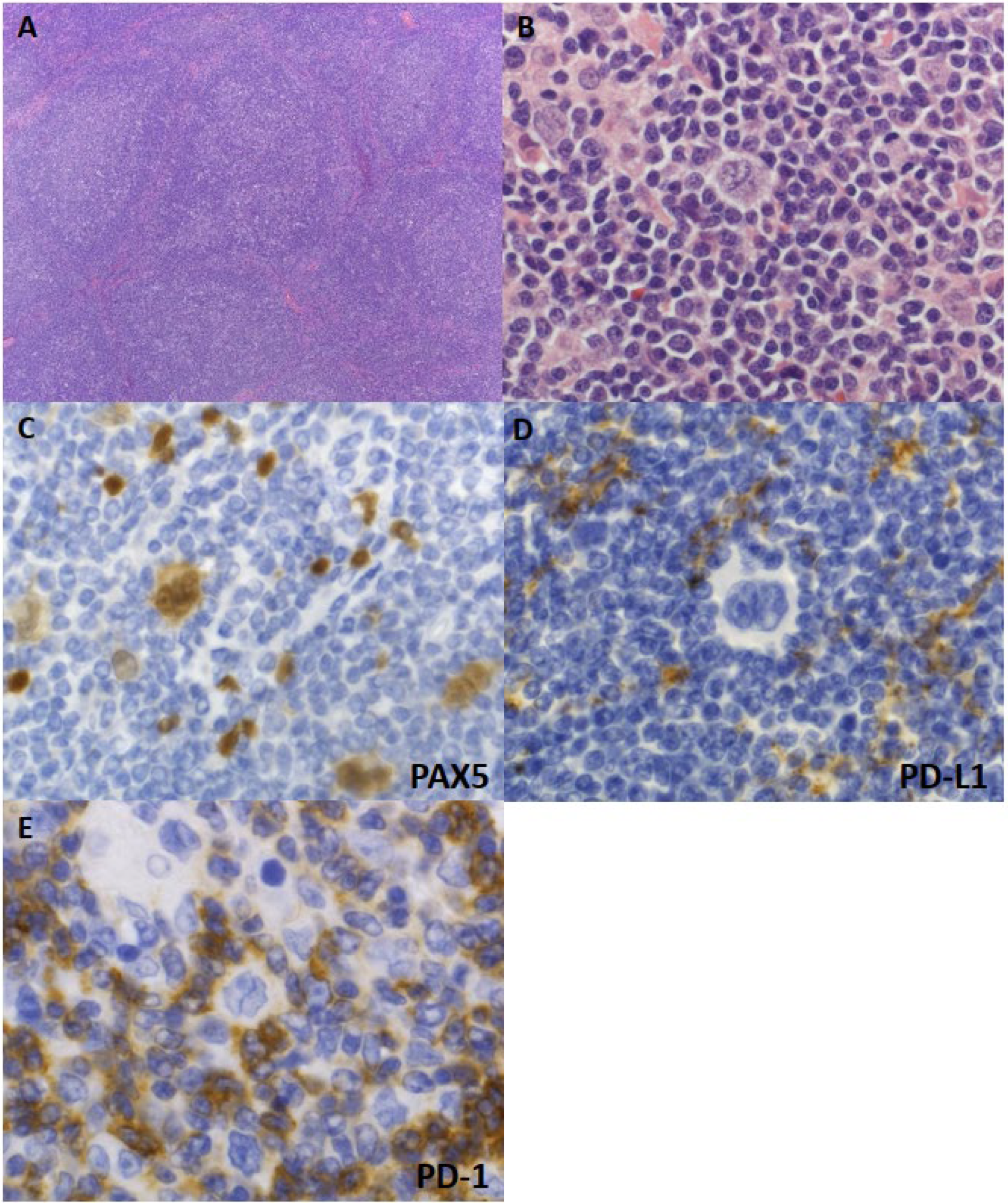 Diagnostics 12 01507 g003