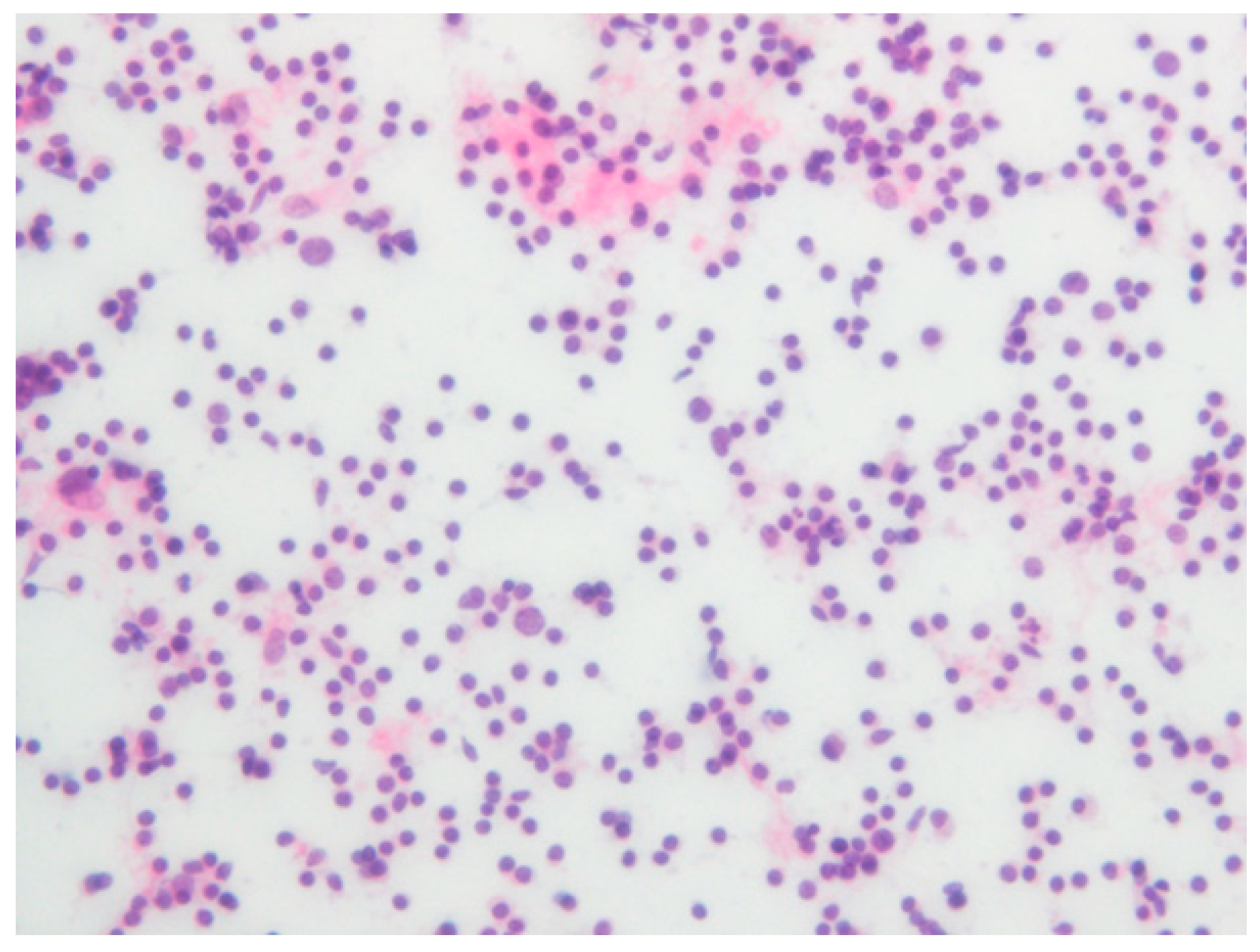 Diagnostics 12 01518 g006