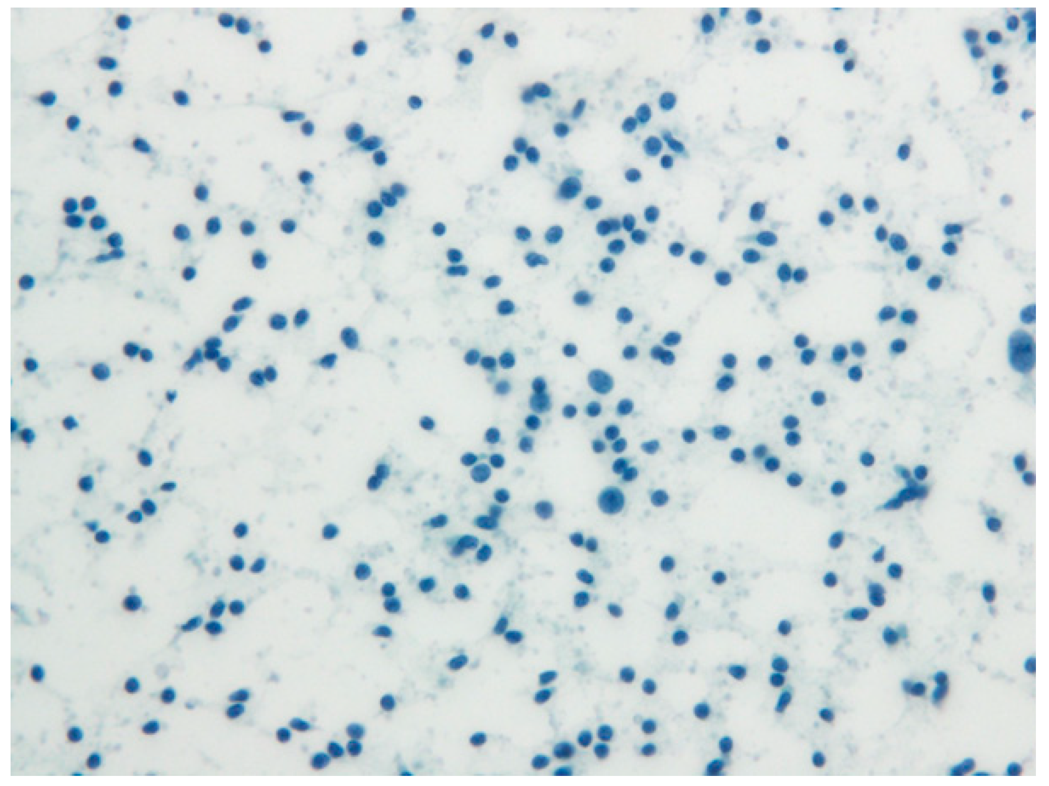 Diagnostics 12 01518 g009