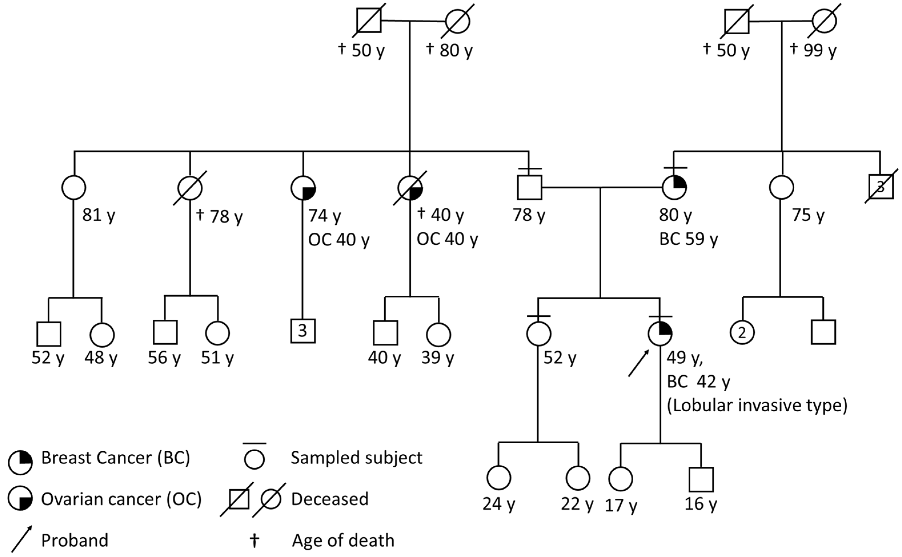 Diagnostics 12 01520 g001 Diagnostics 12 01520 g001