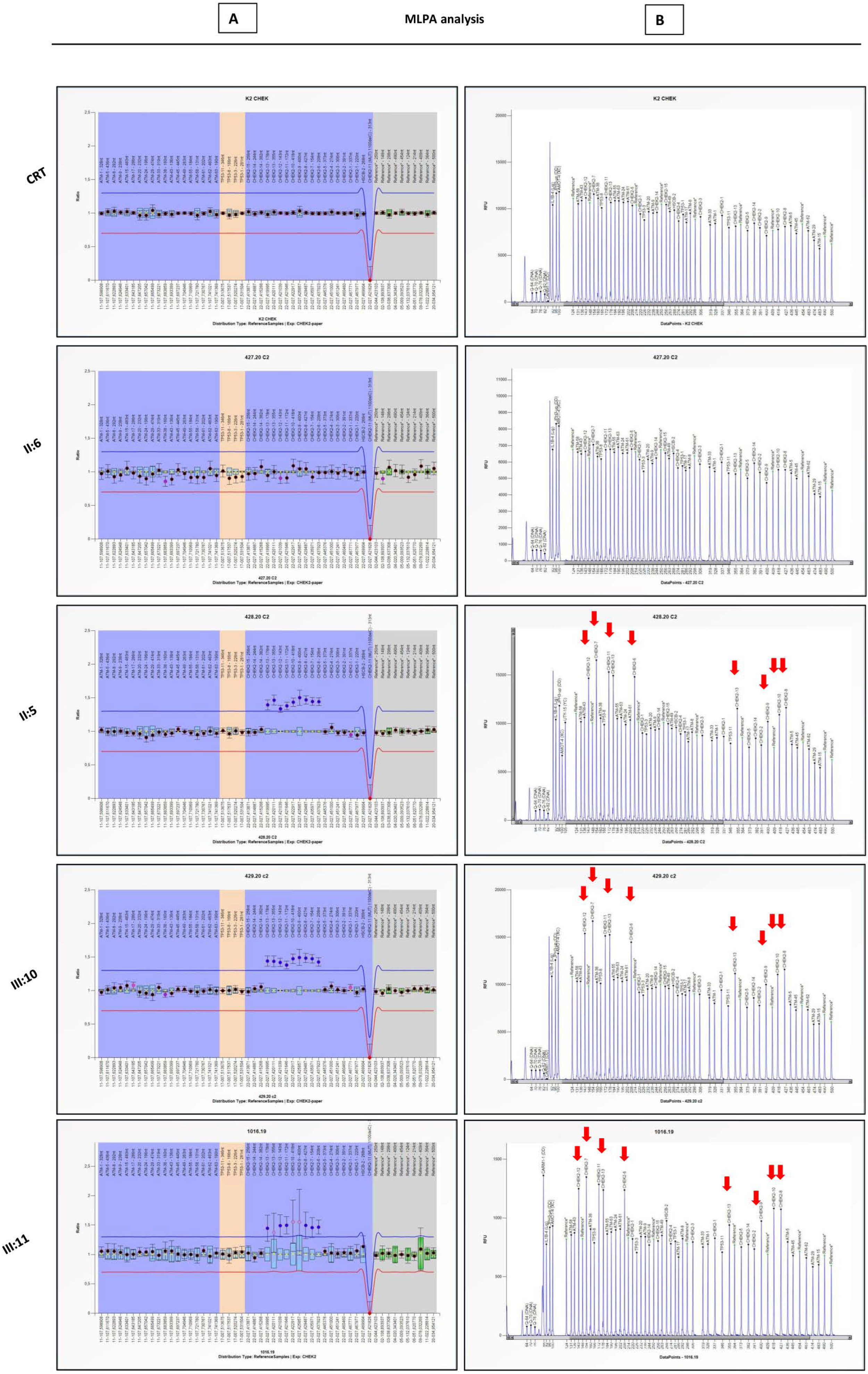 Diagnostics 12 01520 g003 Diagnostics 12 01520 g003