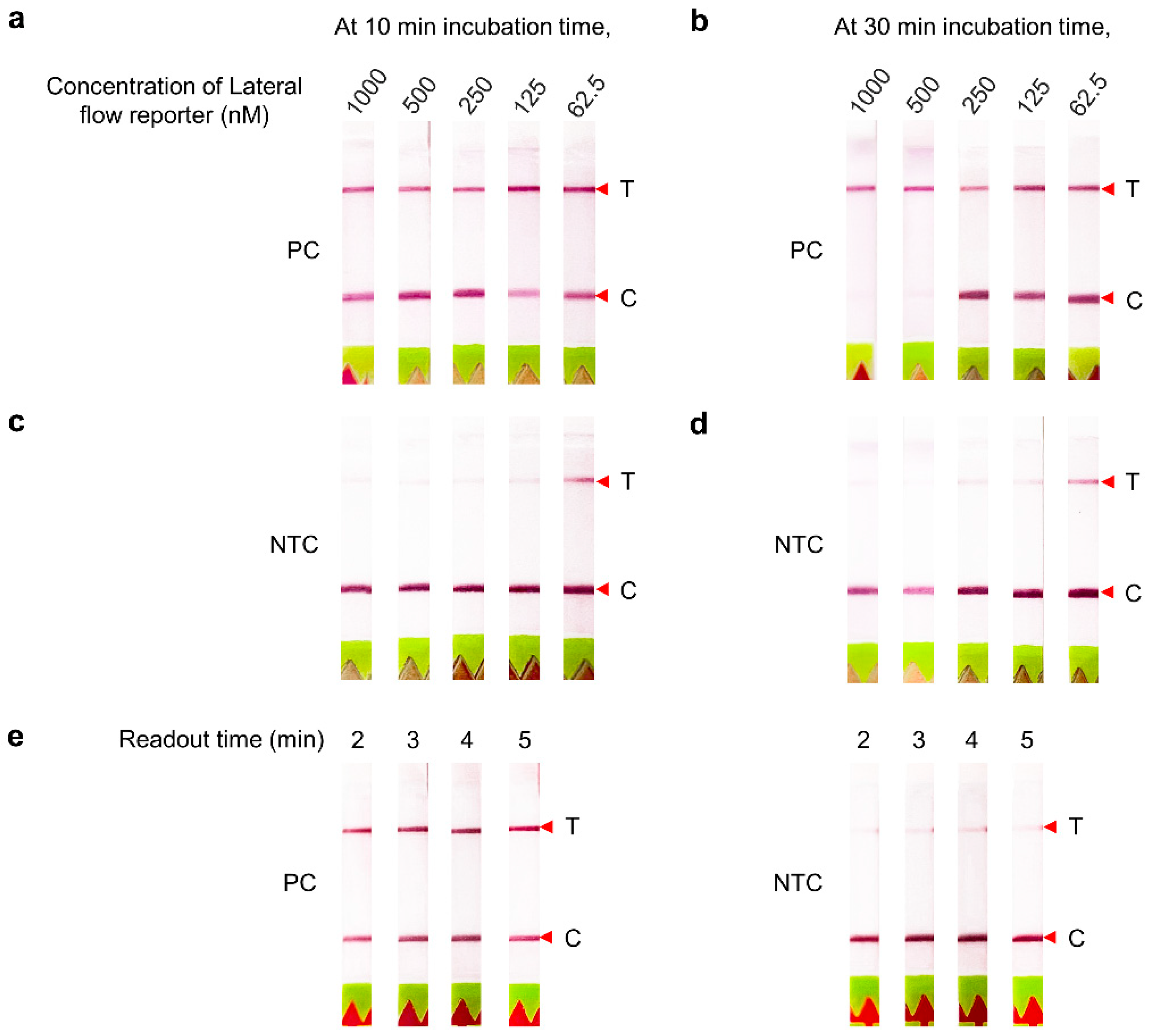 Diagnostics 12 01524 g003