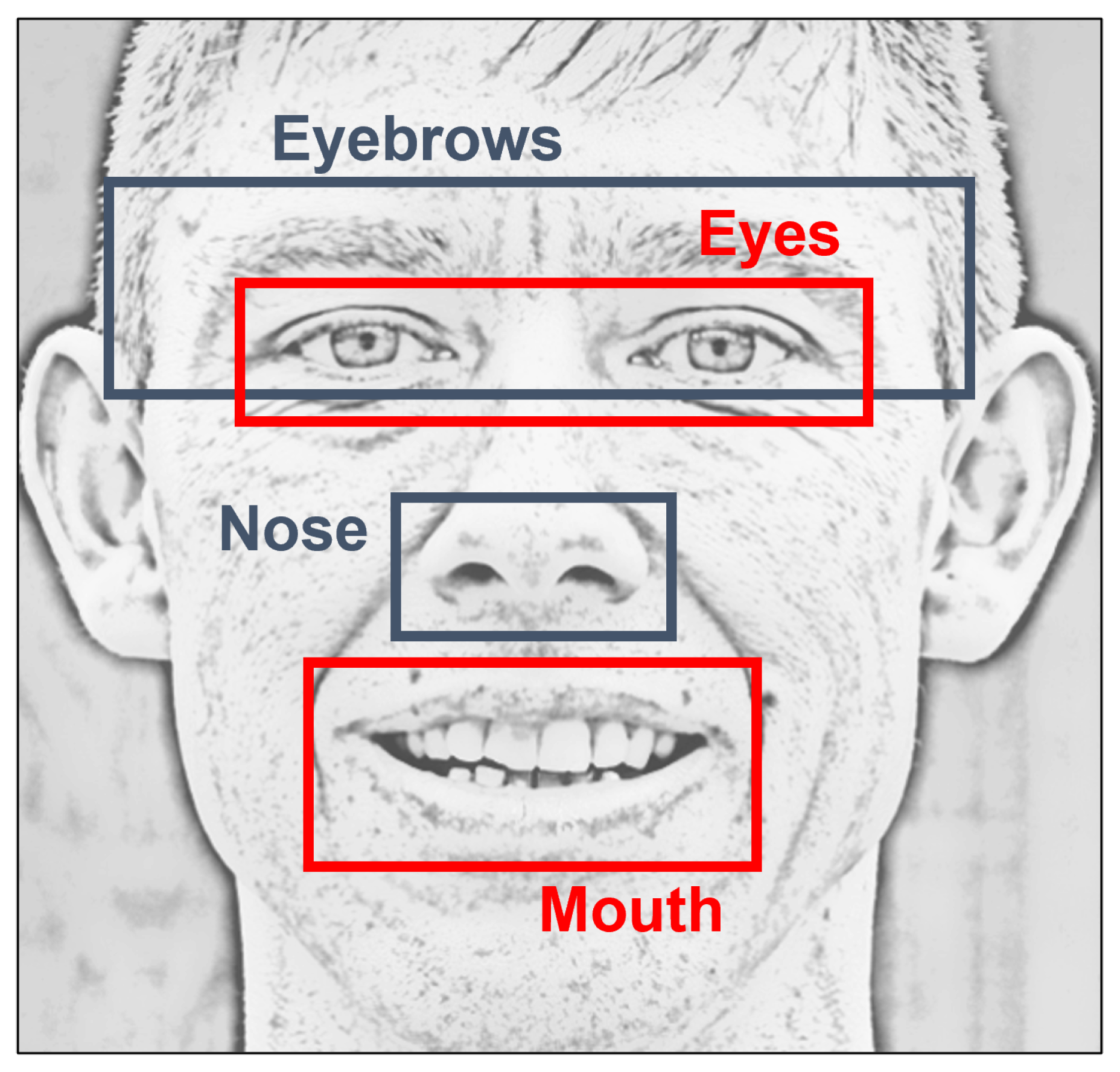 Diagnostics 12 01528 g003 550