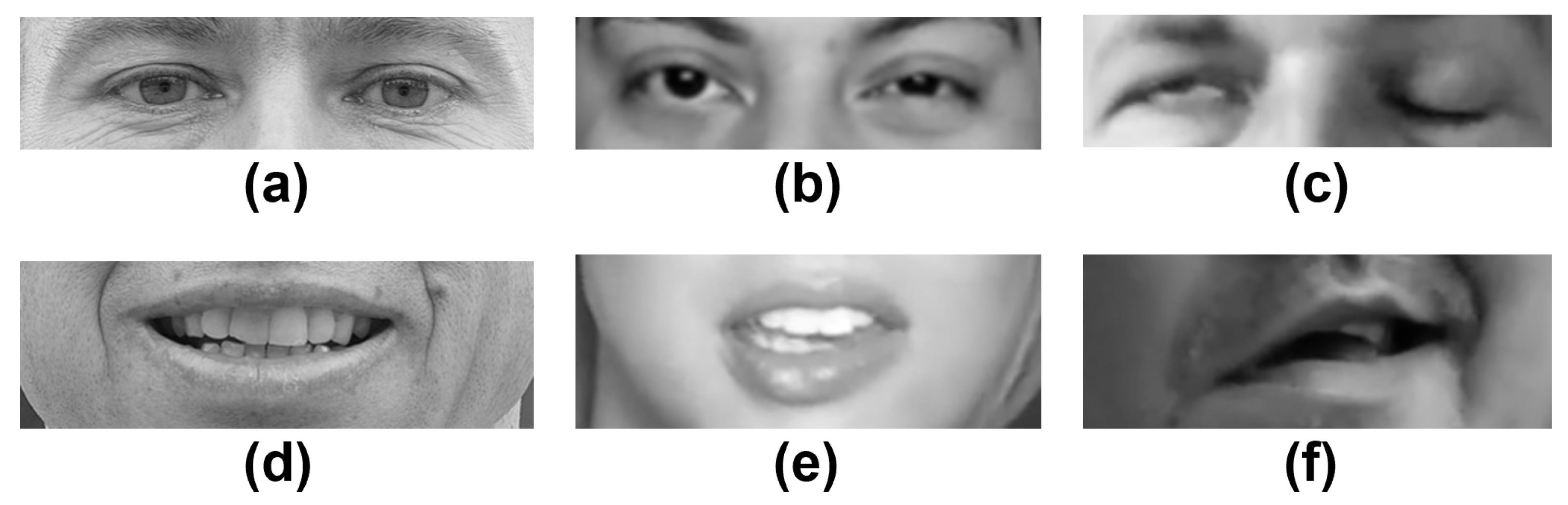 Diagnostics 12 01528 g005 550