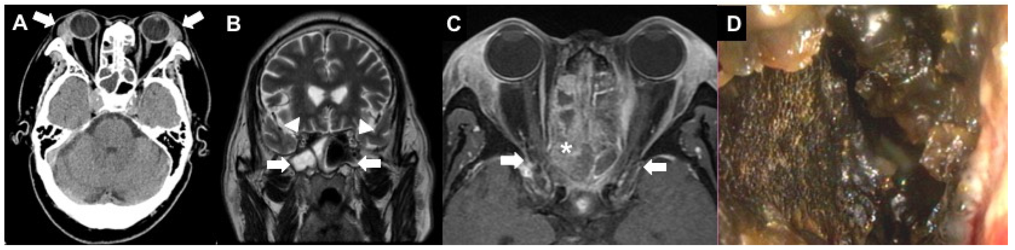 Diagnostics 12 01540 g001 Diagnostics 12 01540 g001