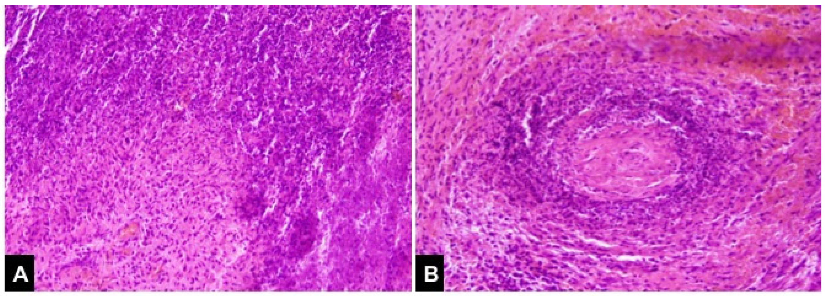 Diagnostics 12 01540 g002 Diagnostics 12 01540 g002