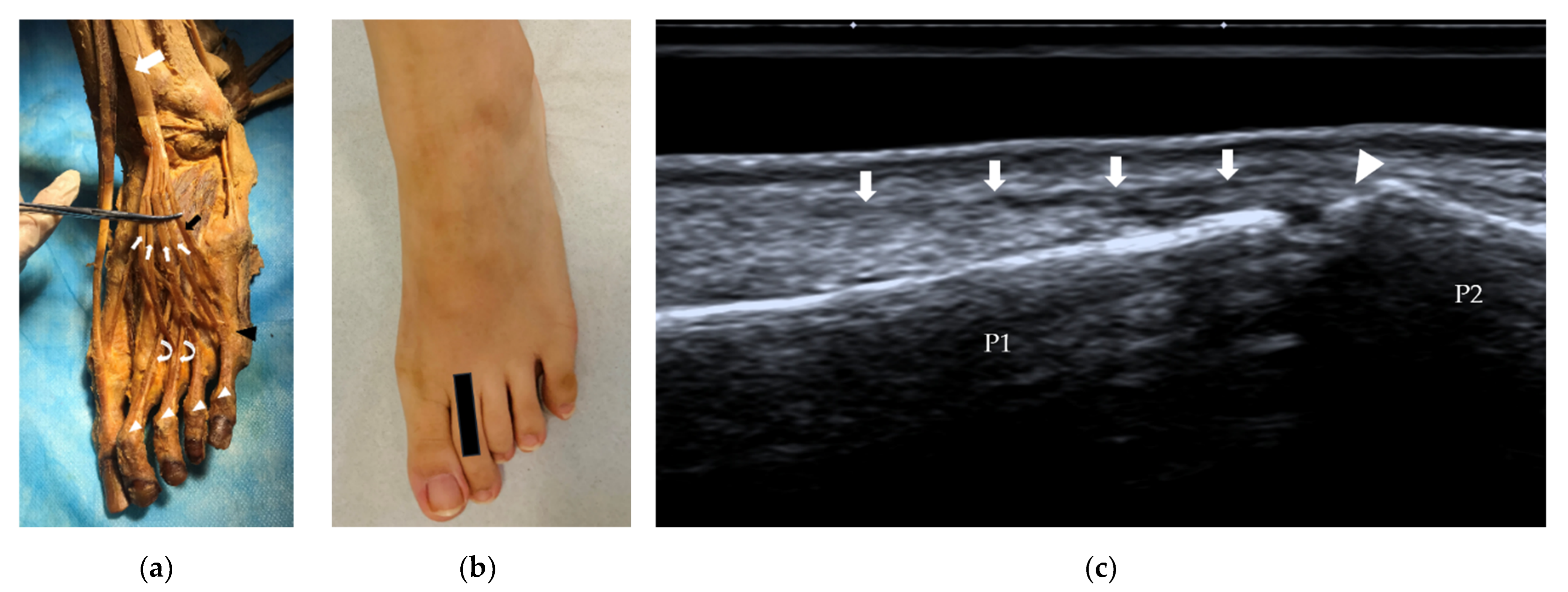 Diagnostics 12 01541 g003