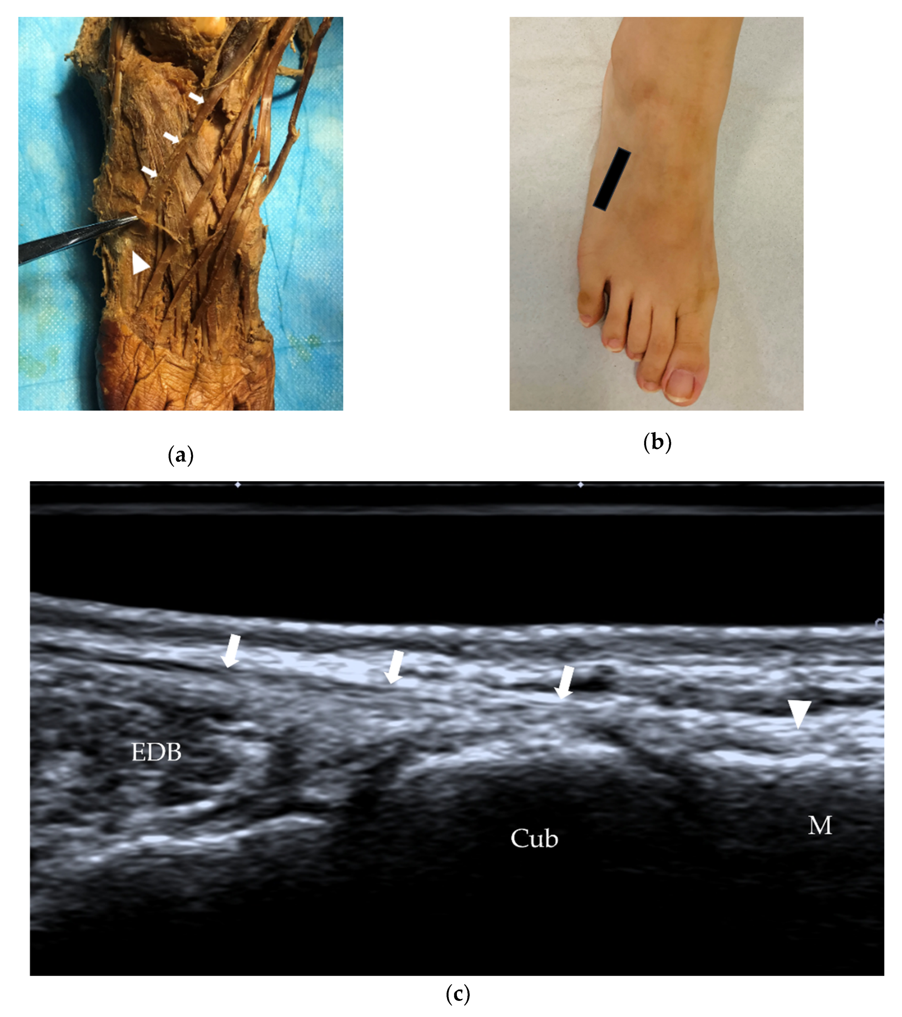 Diagnostics 12 01541 g004