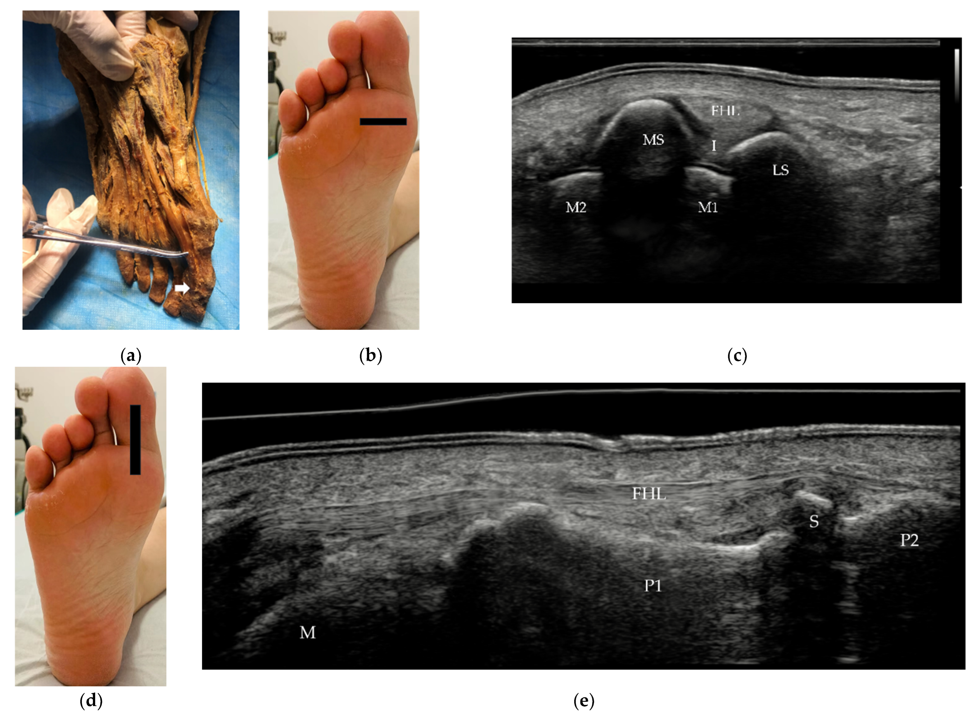 Diagnostics 12 01541 g005