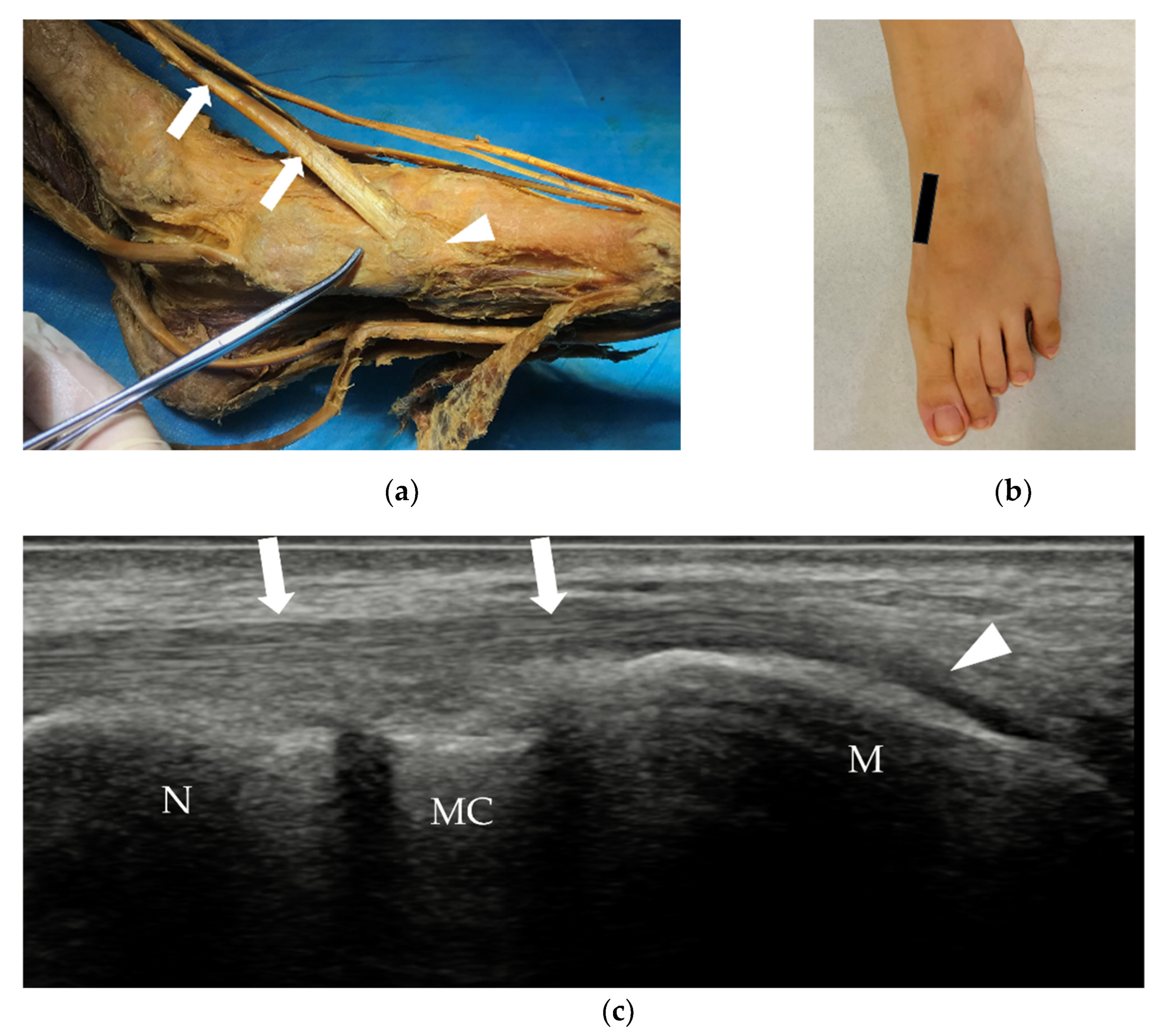 Diagnostics 12 01541 g006