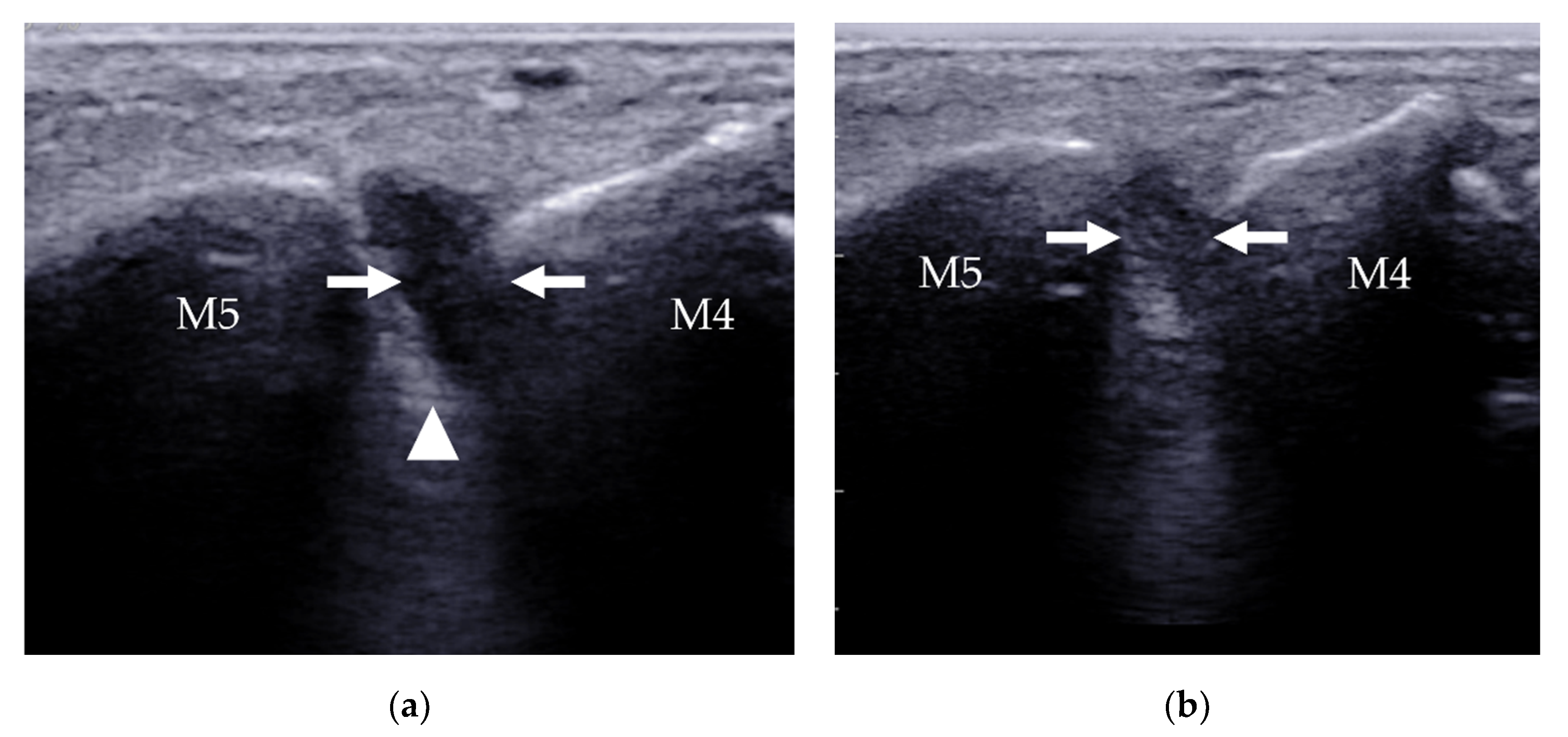 Diagnostics 12 01541 g020a