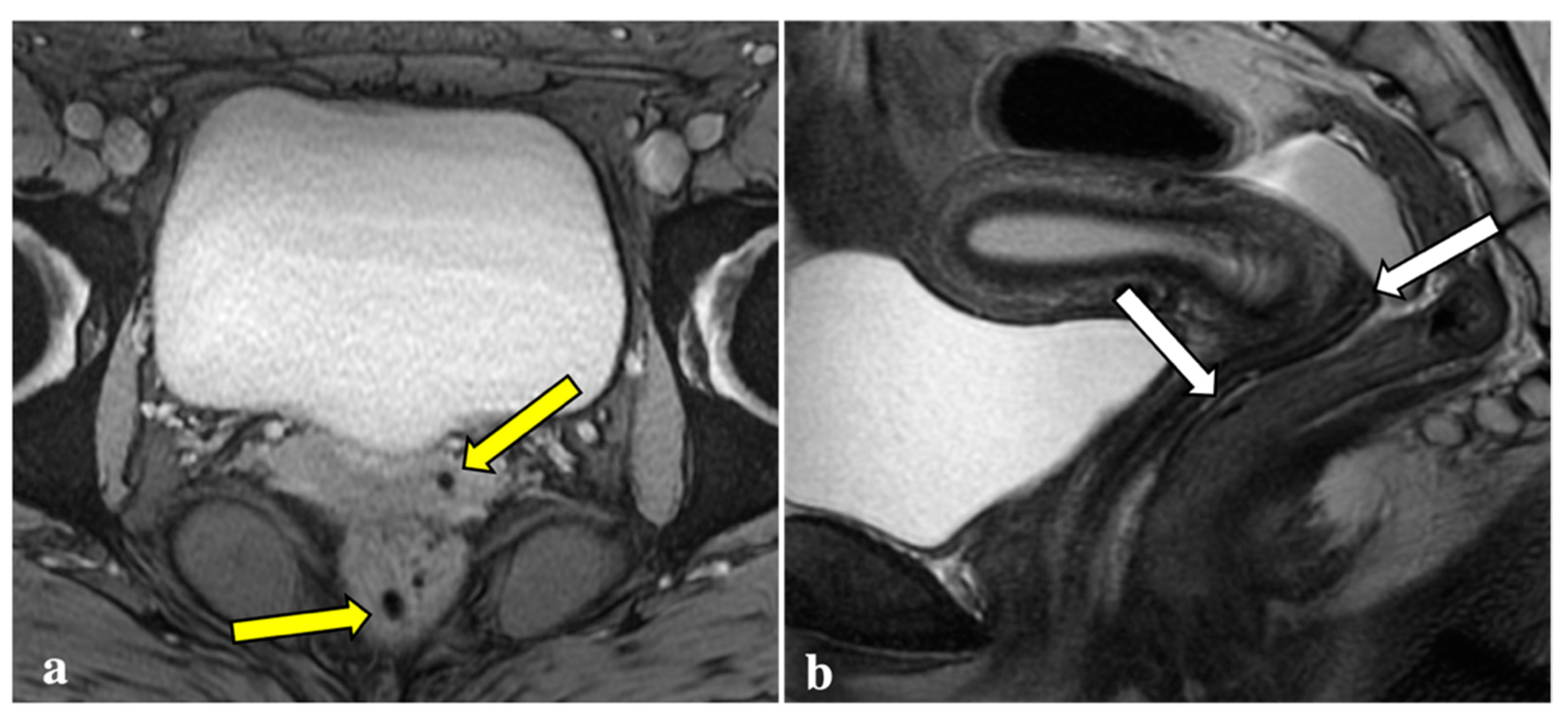 Diagnostics 12 01545 g002 550