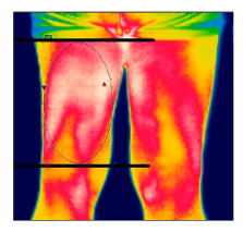 Diagnostics 12 01550 i016