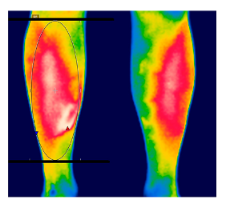 Diagnostics 12 01550 i017