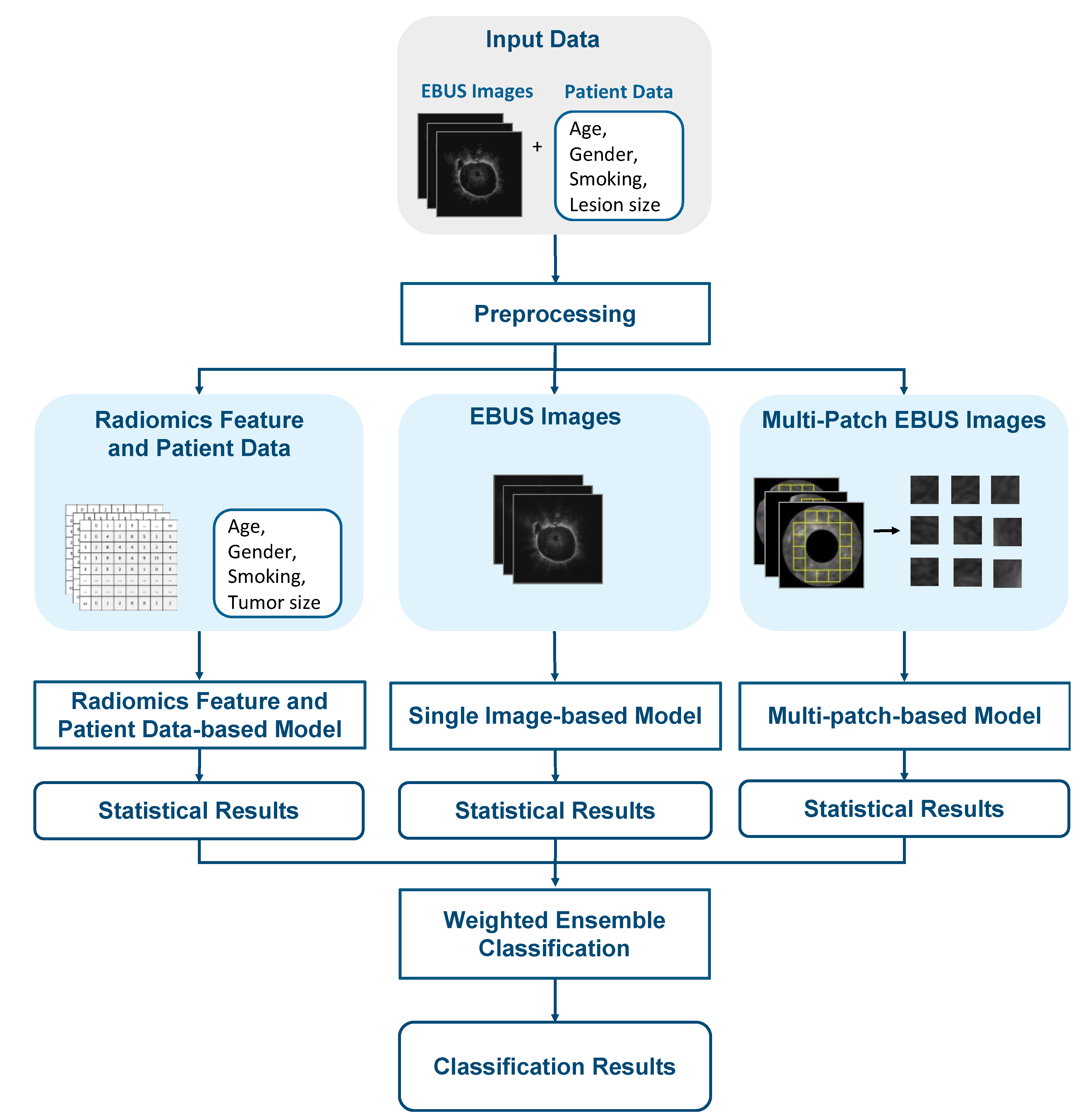 Diagnostics 12 01552 g002 550