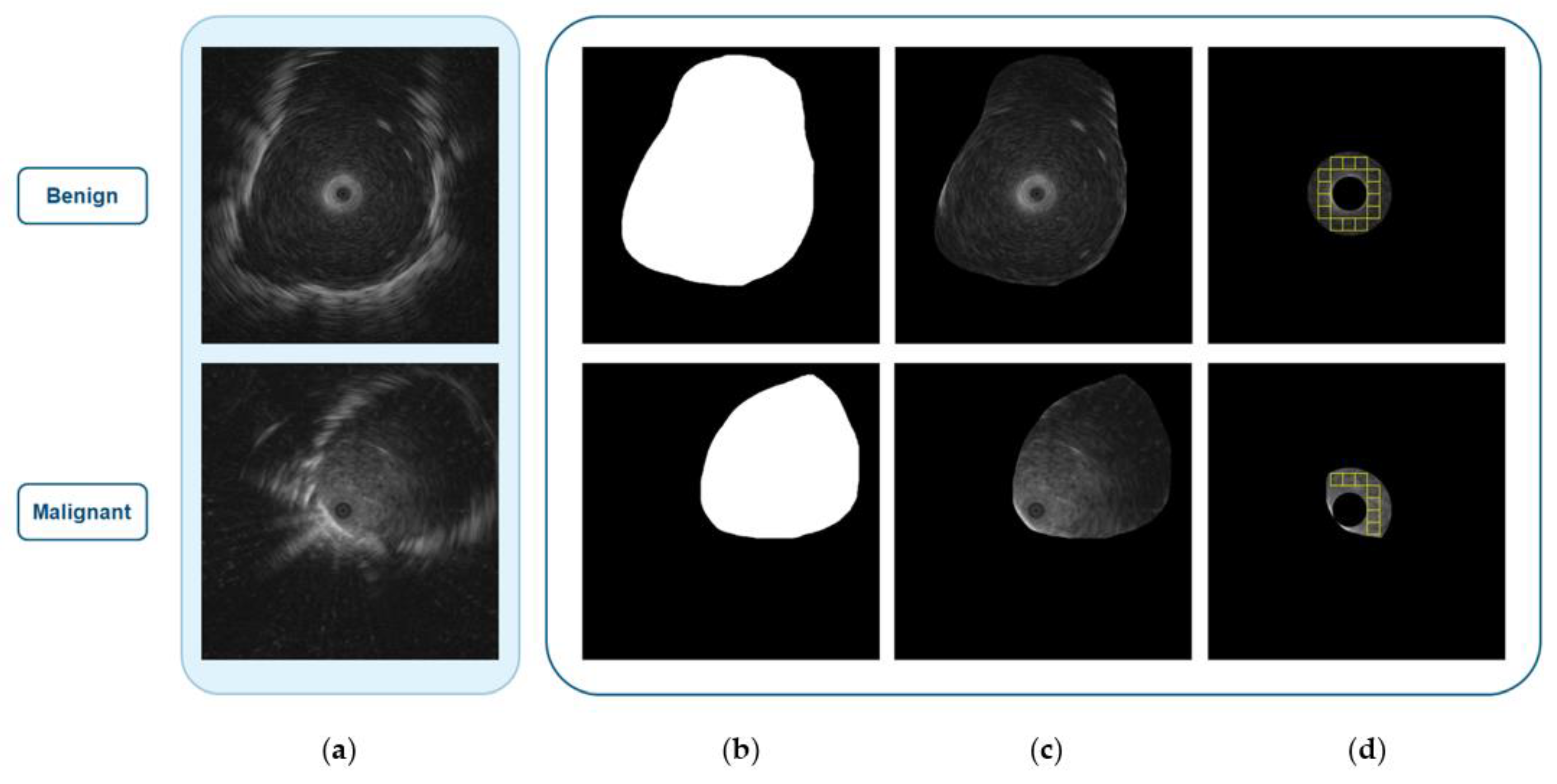 Diagnostics 12 01552 g004 550