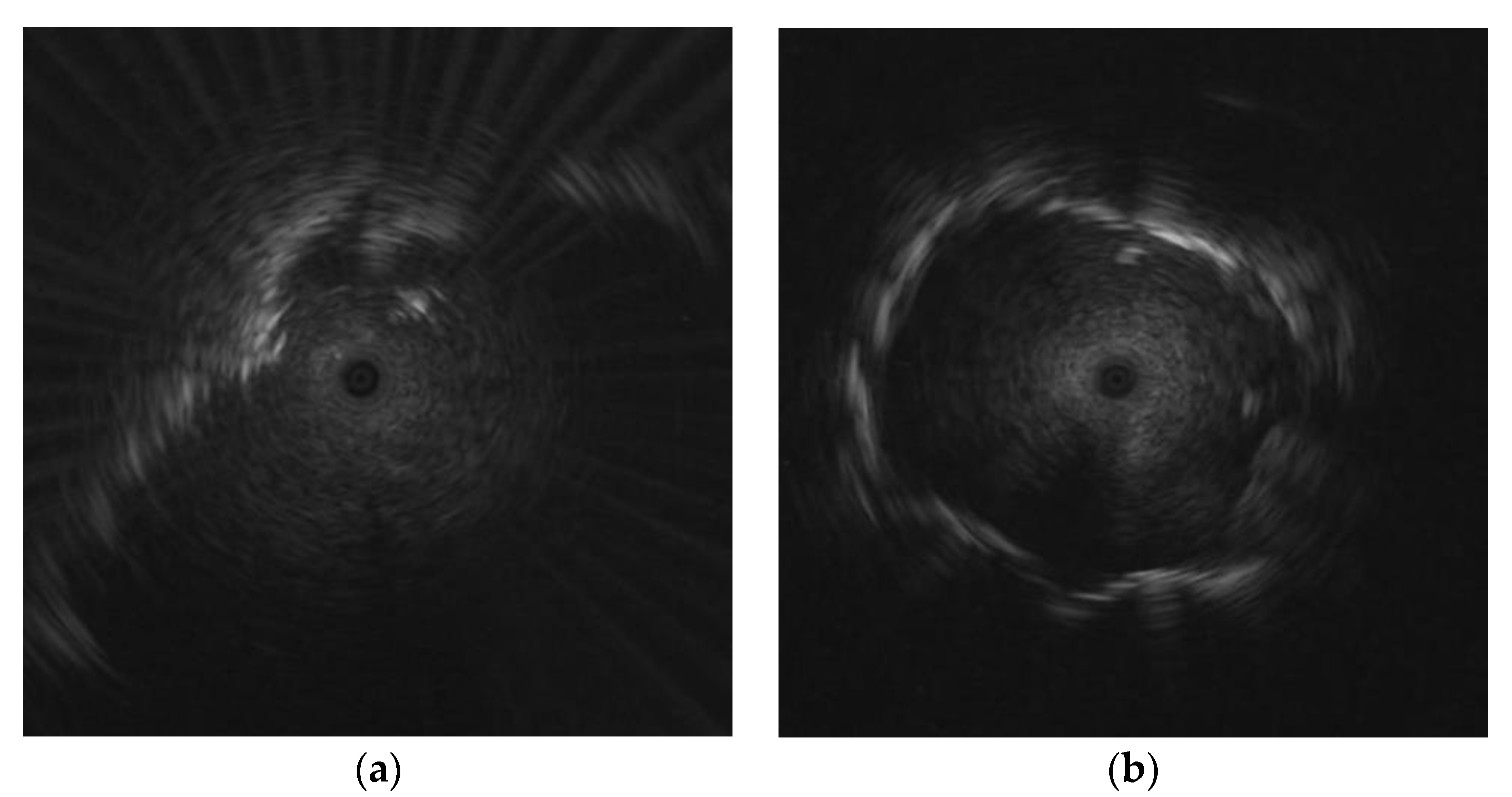 Diagnostics 12 01552 g017 550