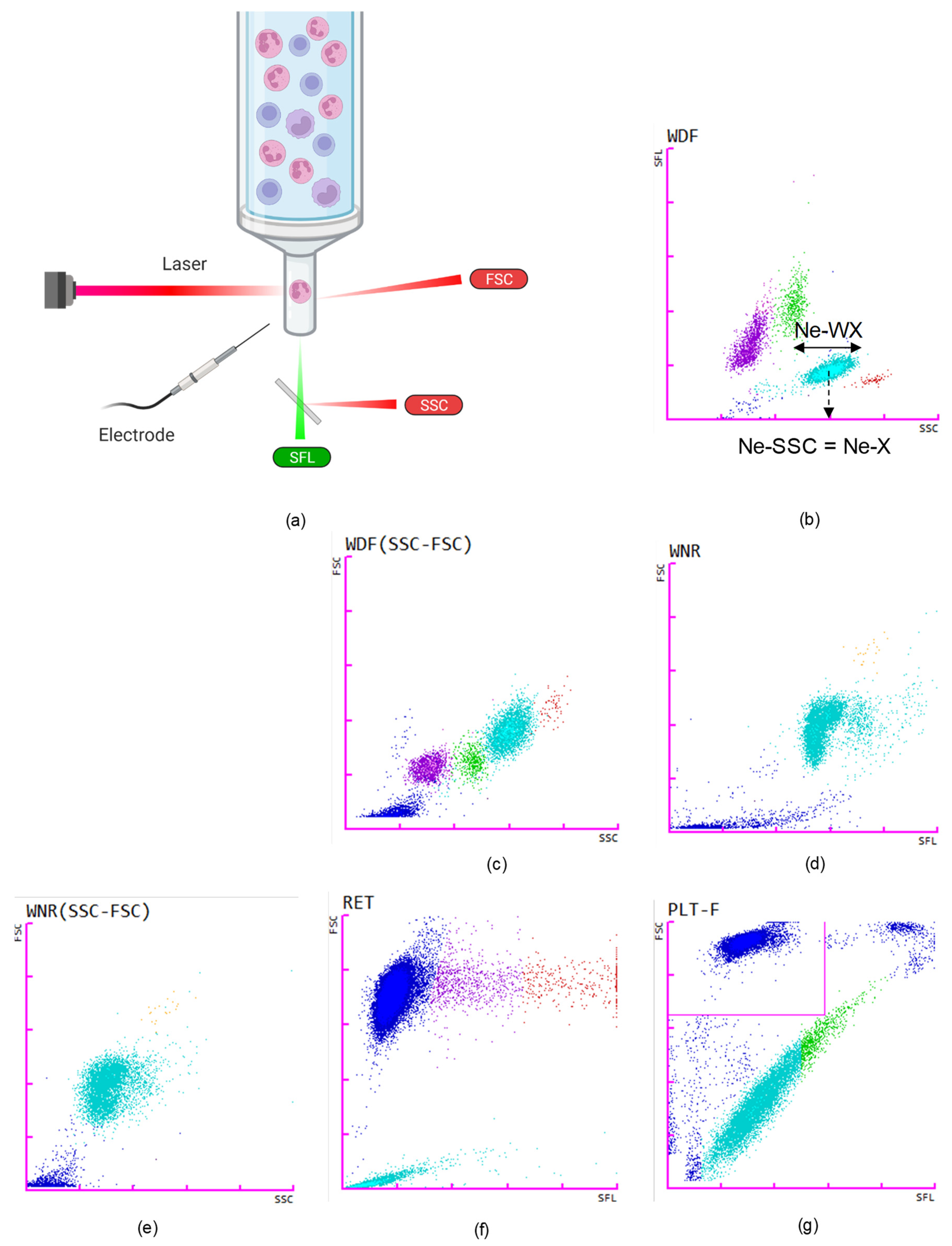 Diagnostics 12 01556 g002
