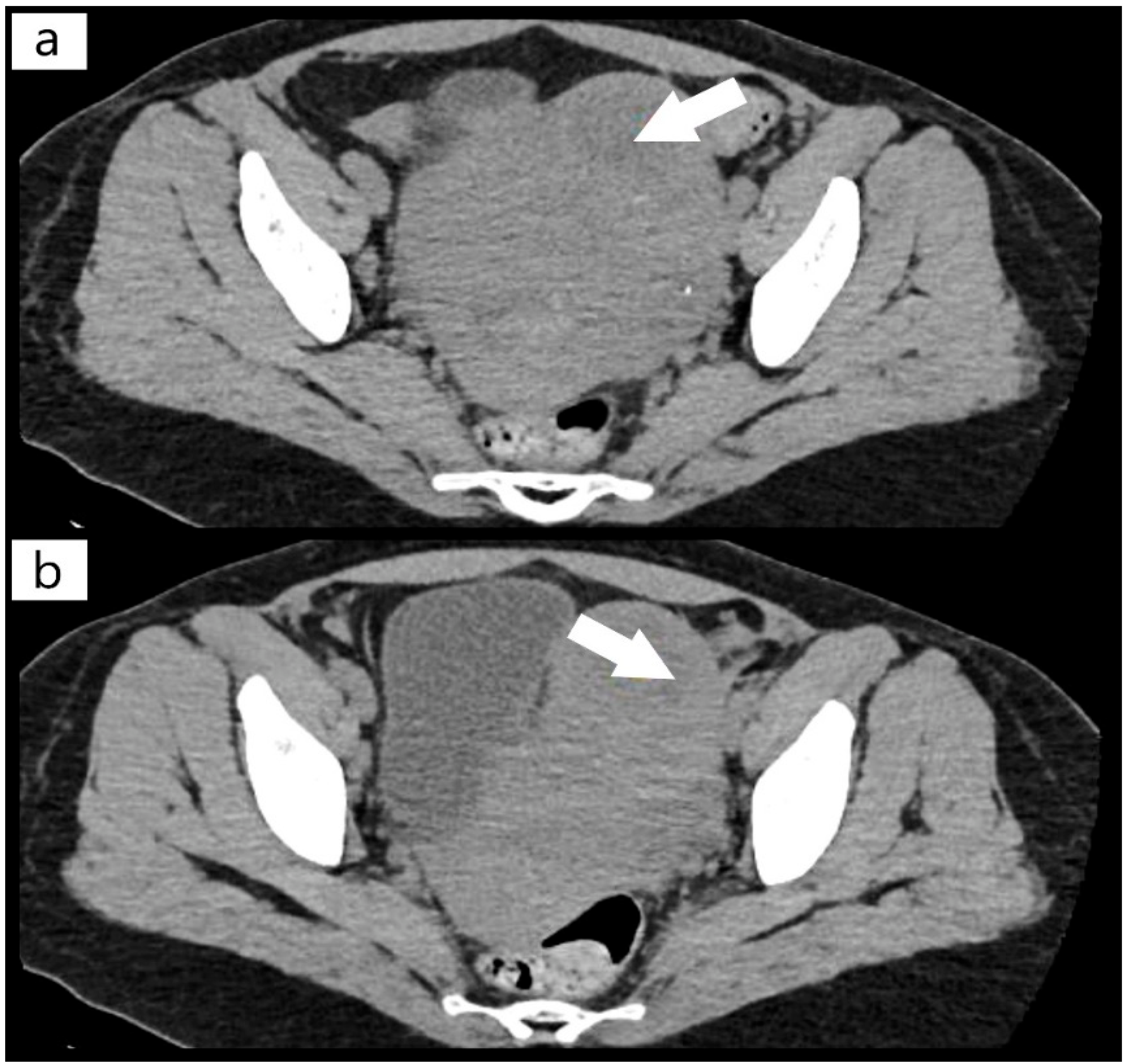 Diagnostics 12 01559 g001 Diagnostics 12 01559 g001