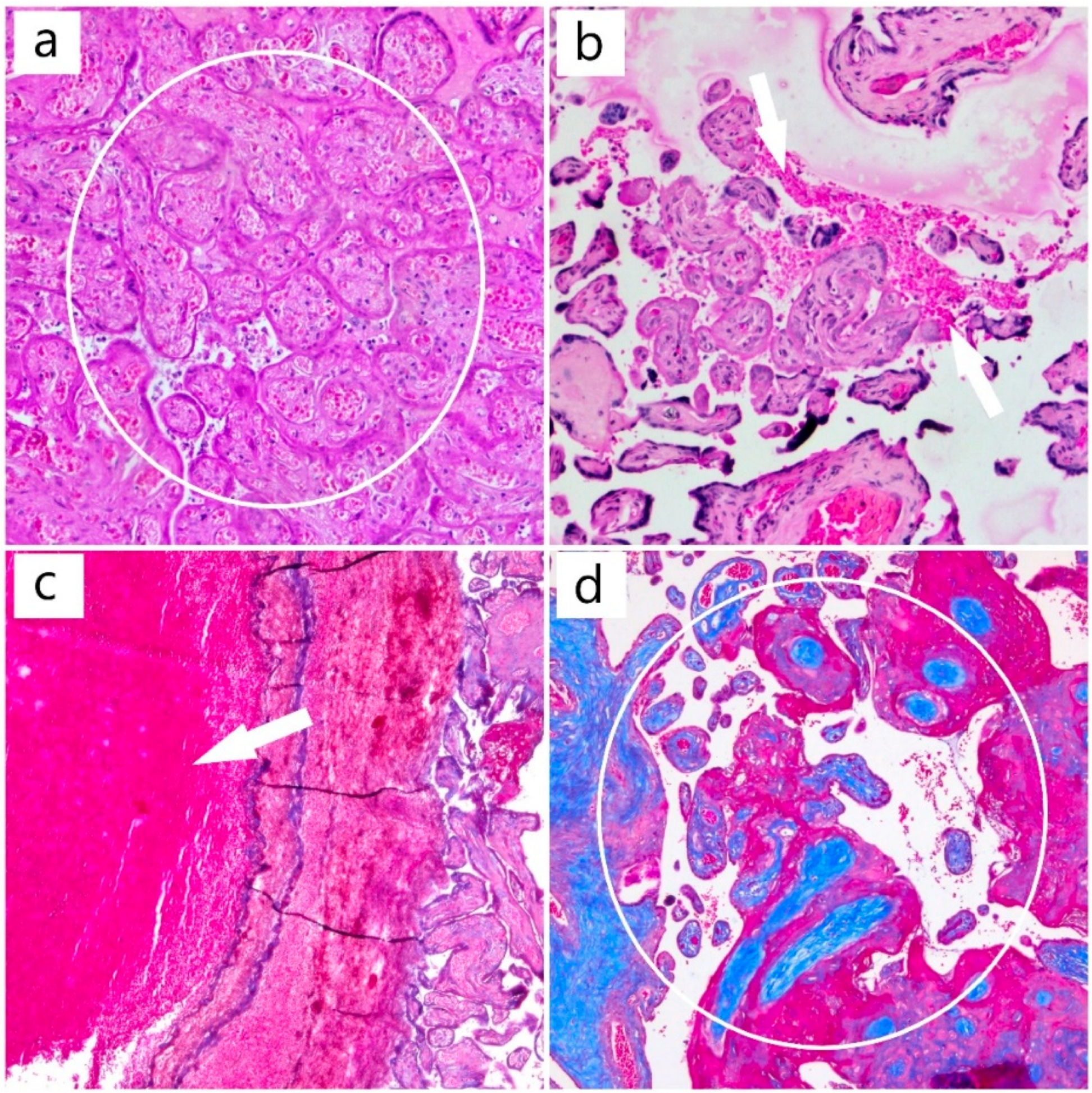 Diagnostics 12 01559 g003 Diagnostics 12 01559 g003